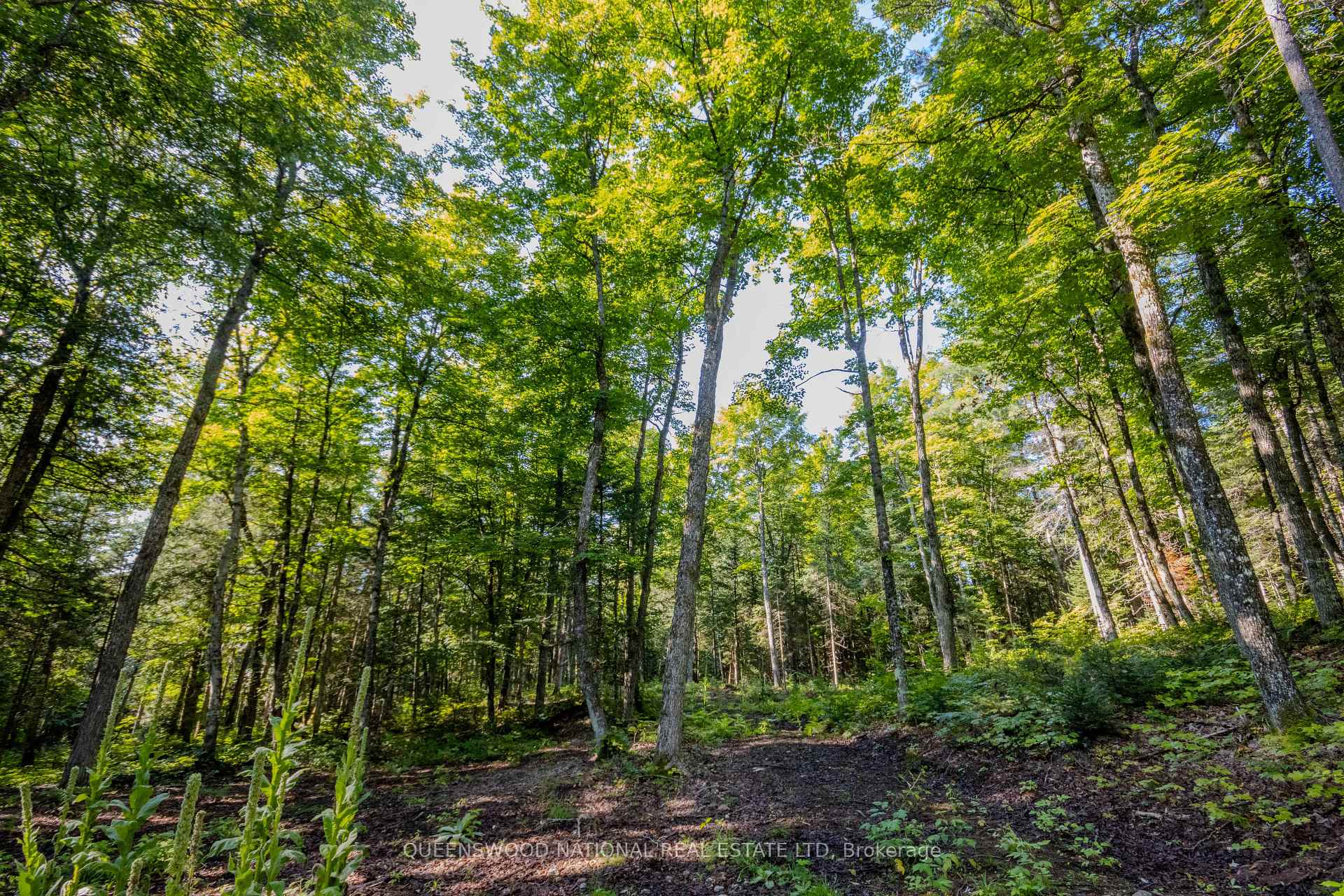 Photo 37 of 688 Prince Road E, Madawaska Valley, Madawaska Valley — HOMEH