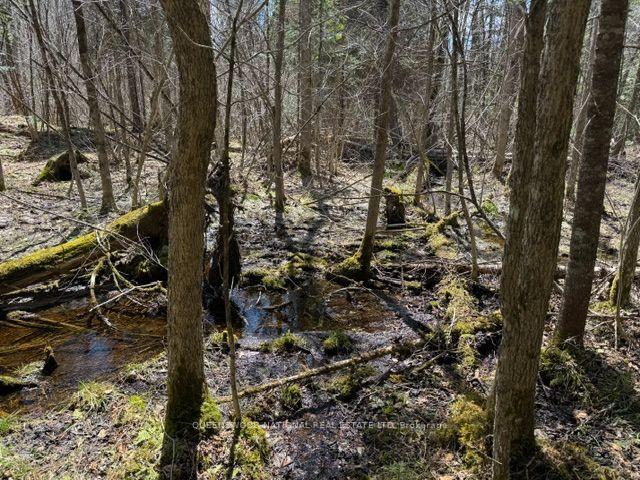 Photo 38 of 688 Prince Road E, Madawaska Valley, Madawaska Valley — HOMEH