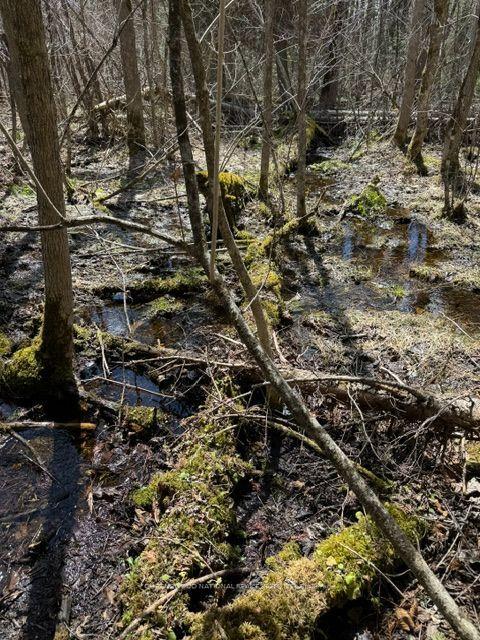 Photo 39 of 688 Prince Road E, Madawaska Valley, Madawaska Valley — HOMEH