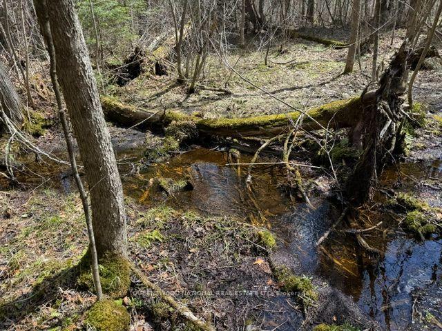 Photo 40 of 688 Prince Road E, Madawaska Valley, Madawaska Valley — HOMEH