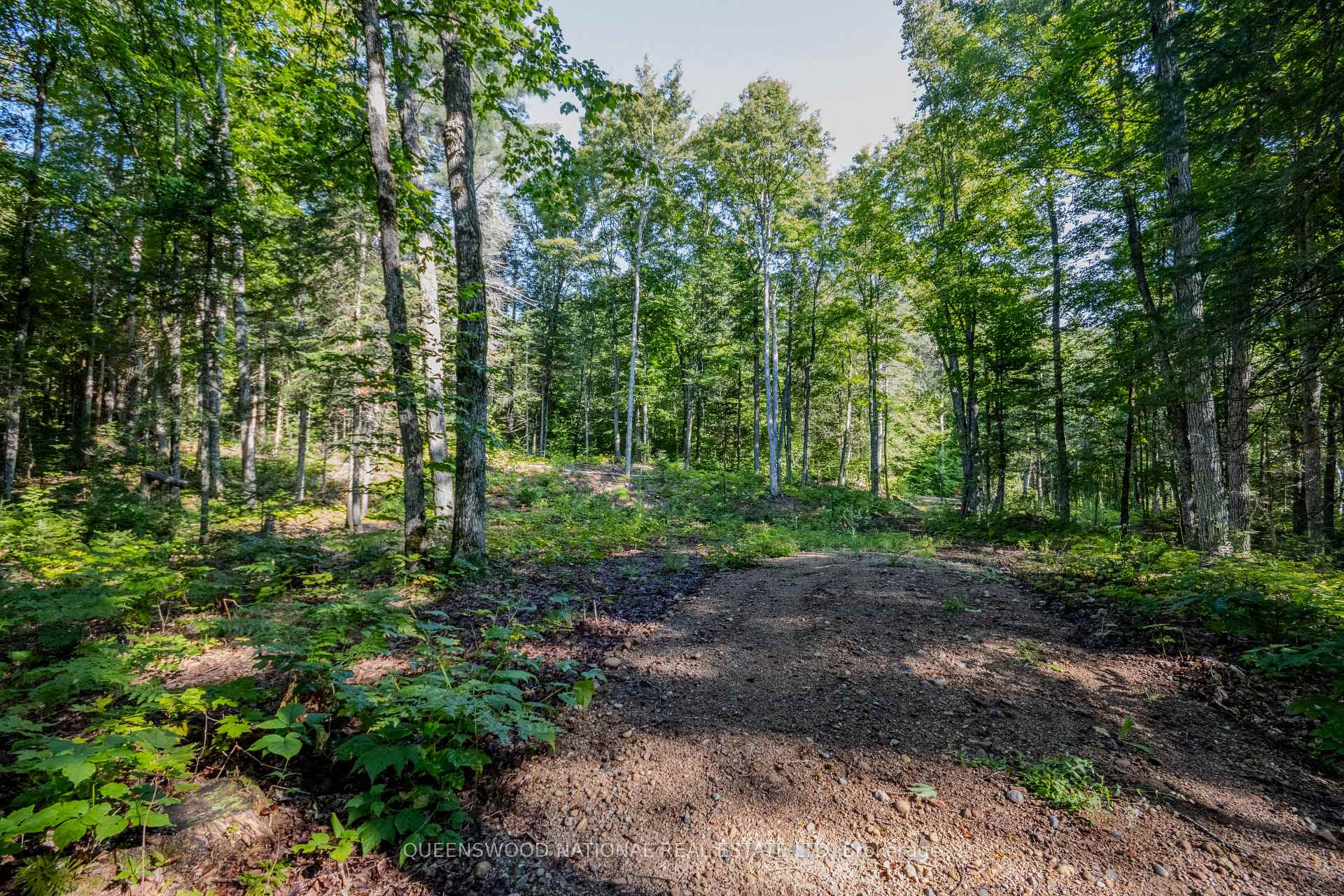 Photo 42 of 688 Prince Road E, Madawaska Valley, Madawaska Valley — HOMEH