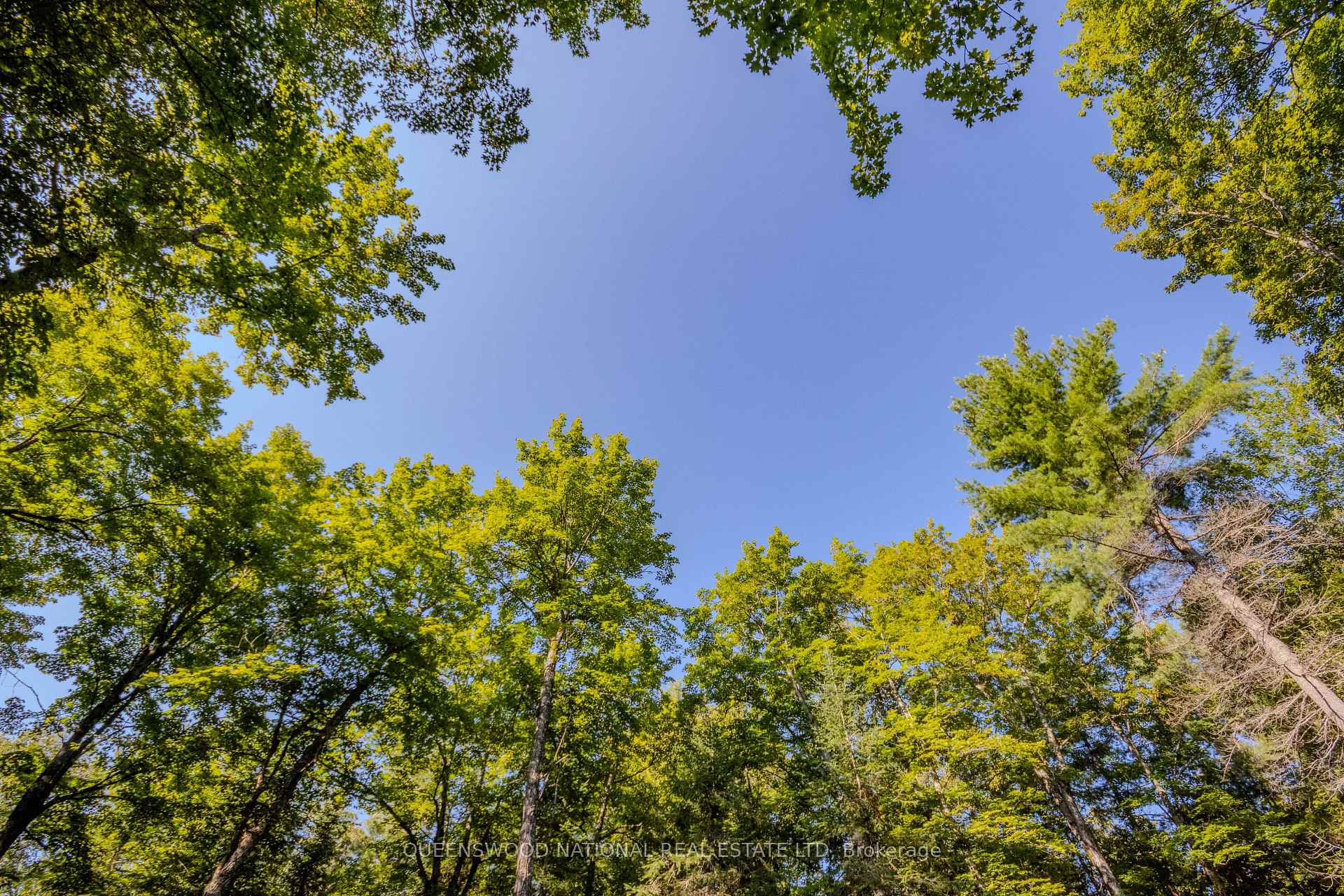 Photo 43 of 688 Prince Road E, Madawaska Valley, Madawaska Valley — HOMEH