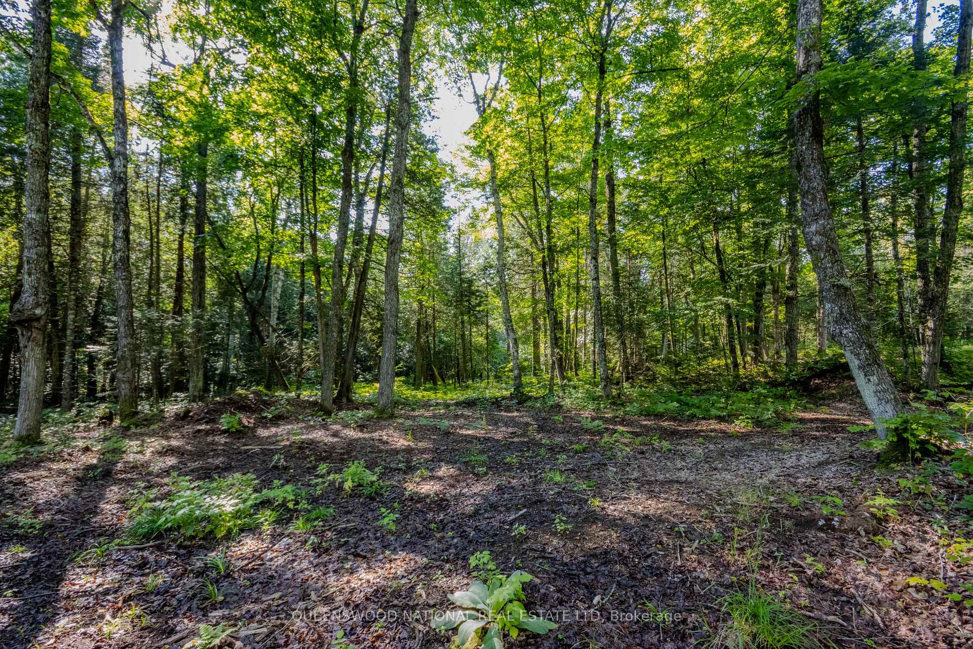 Photo 44 of 688 Prince Road E, Madawaska Valley, Madawaska Valley — HOMEH