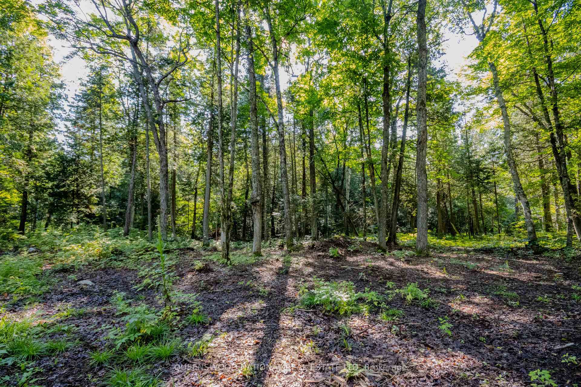 Photo 45 of 688 Prince Road E, Madawaska Valley, Madawaska Valley — HOMEH