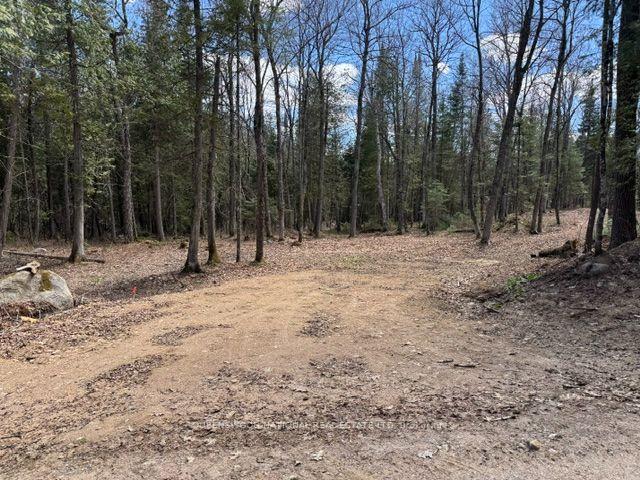 Photo 48 of 688 Prince Road E, Madawaska Valley, Madawaska Valley — HOMEH