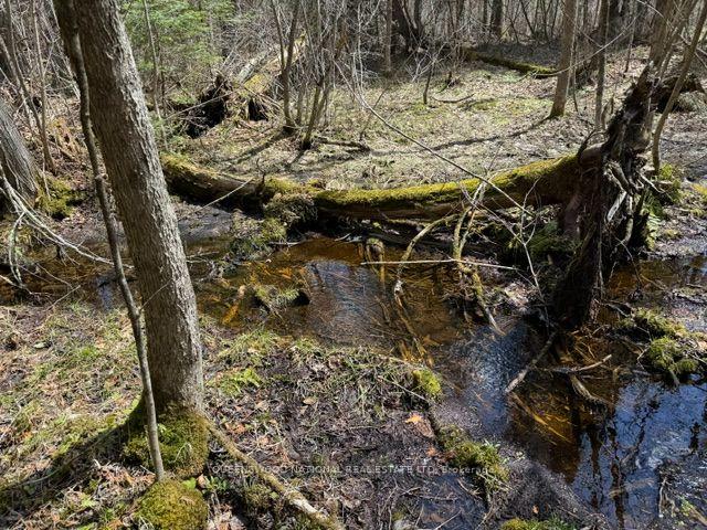 Photo 49 of 688 Prince Road E, Madawaska Valley, Madawaska Valley — HOMEH