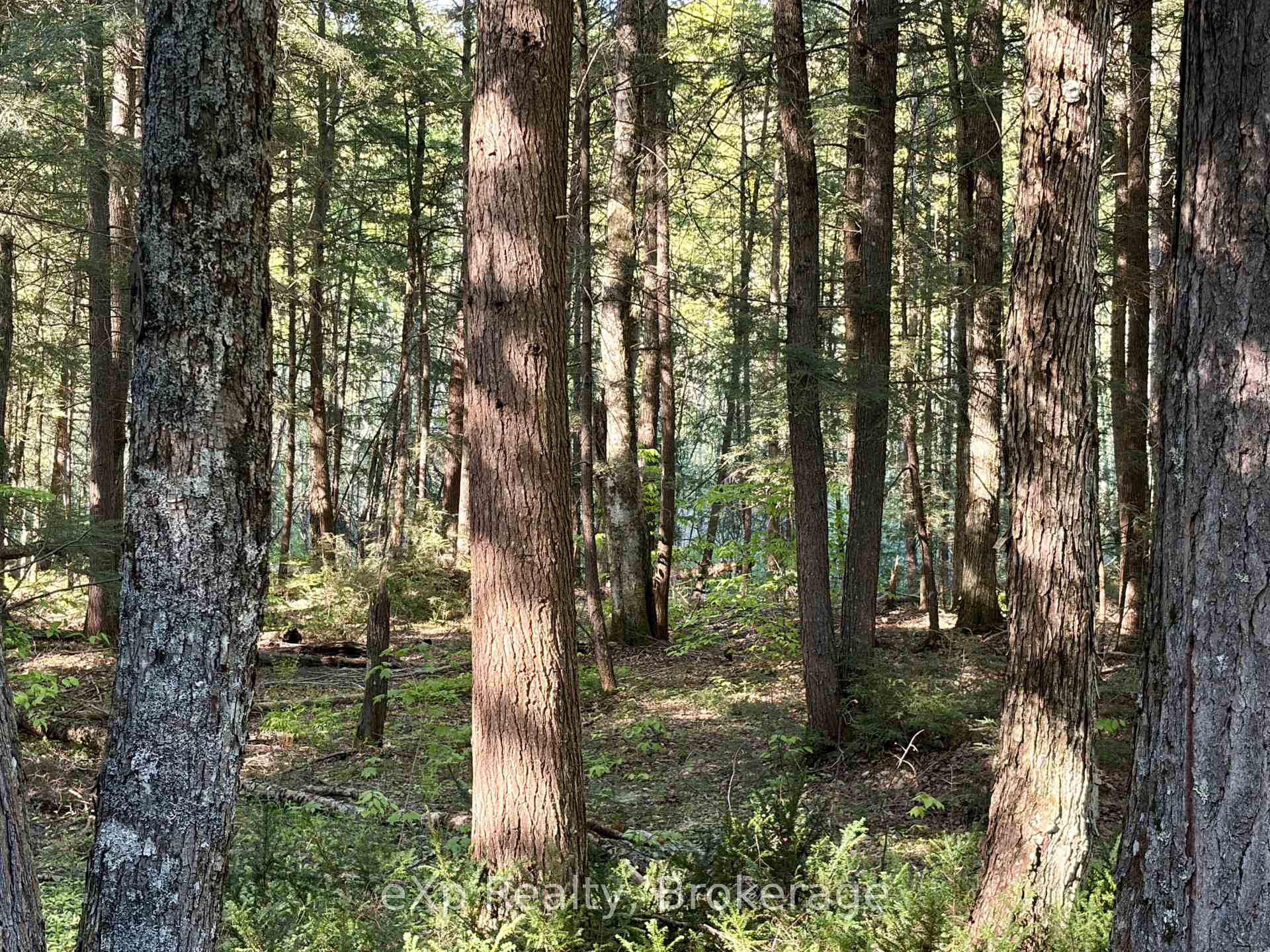 Photo 13 of 1080 Milne Road, Bracebridge, Oakley — HOMEH