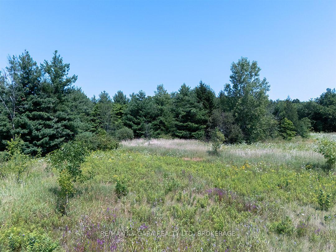 Photo 2 of NS Forks Road W, Wainfleet, Marshville/Winger — HOMEH