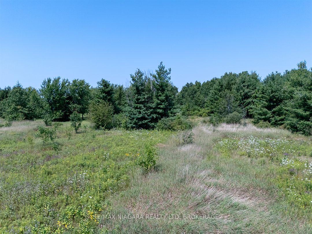 Photo 9 of NS Forks Road W, Wainfleet, Marshville/Winger — HOMEH