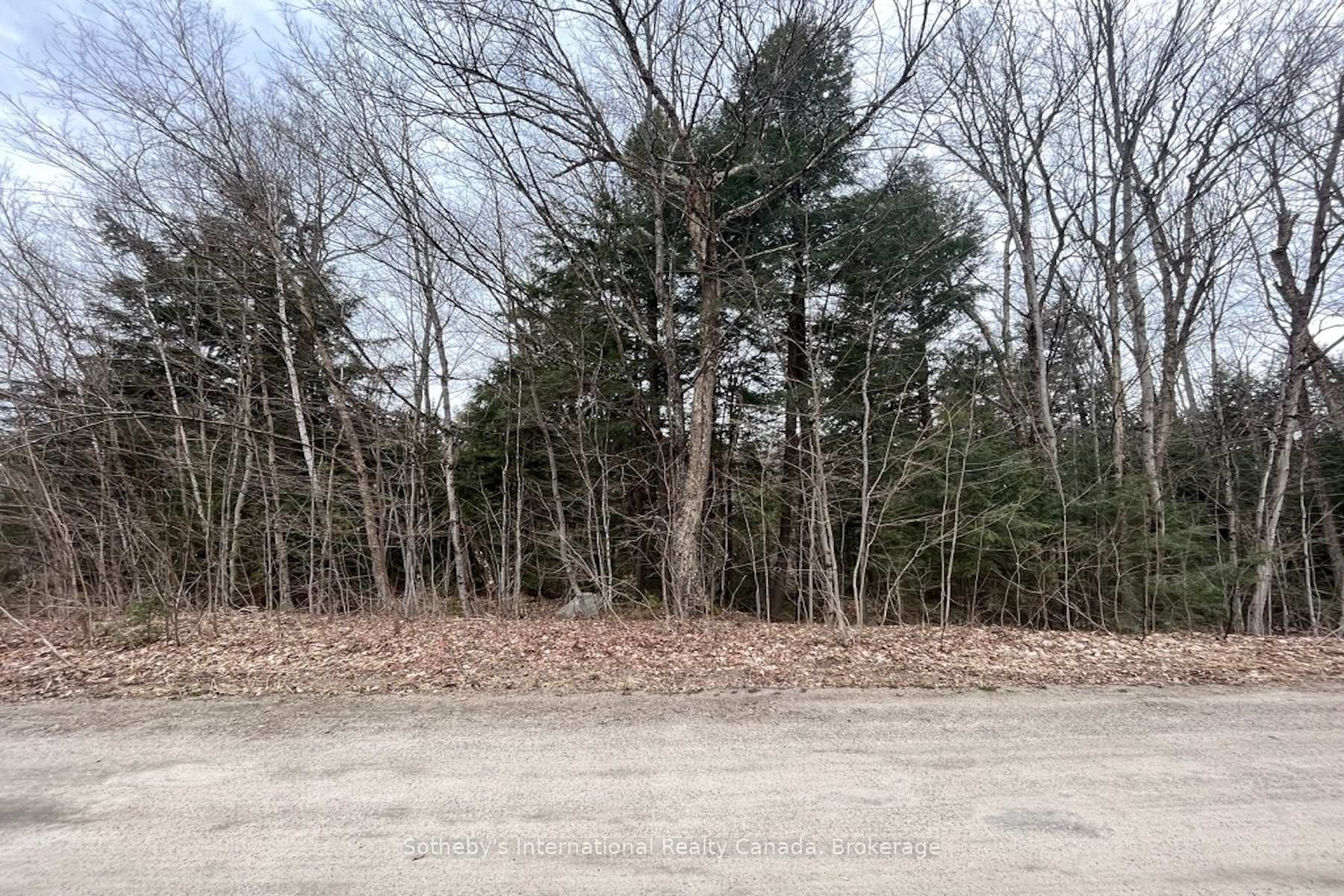 Photo 12 of 1031 Haven Road, Bracebridge, Draper — HOMEH