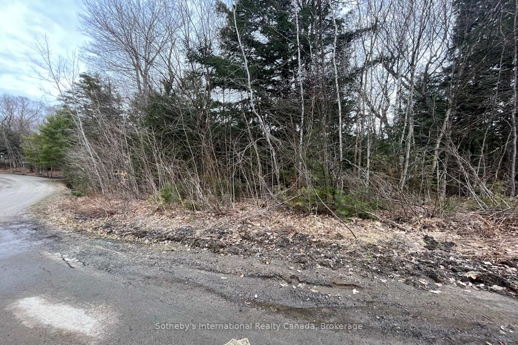 Photo 13 of 1031 Haven Road, Bracebridge, Draper — HOMEH