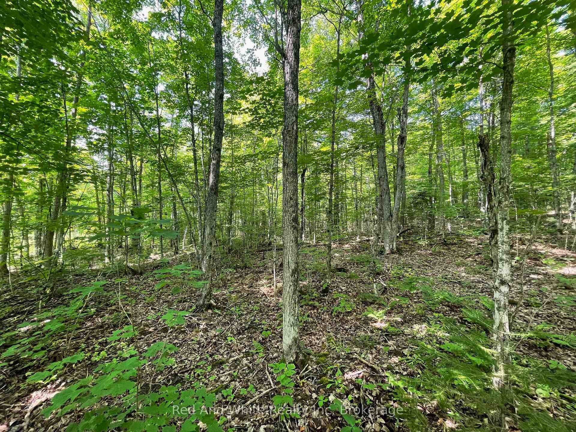 Photo 4 of 285 Chapman Drive, Magnetawan — HOMEH