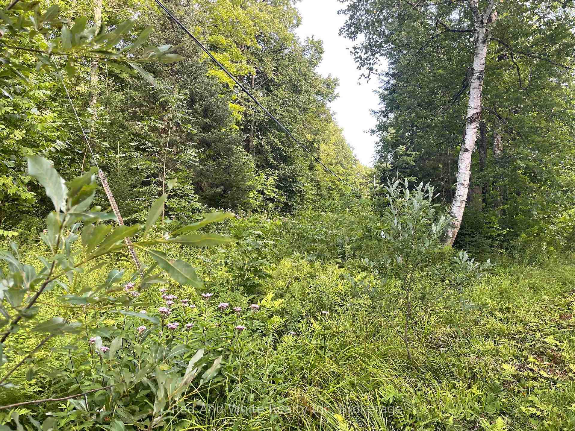 Photo 5 of 285 Chapman Drive, Magnetawan — HOMEH