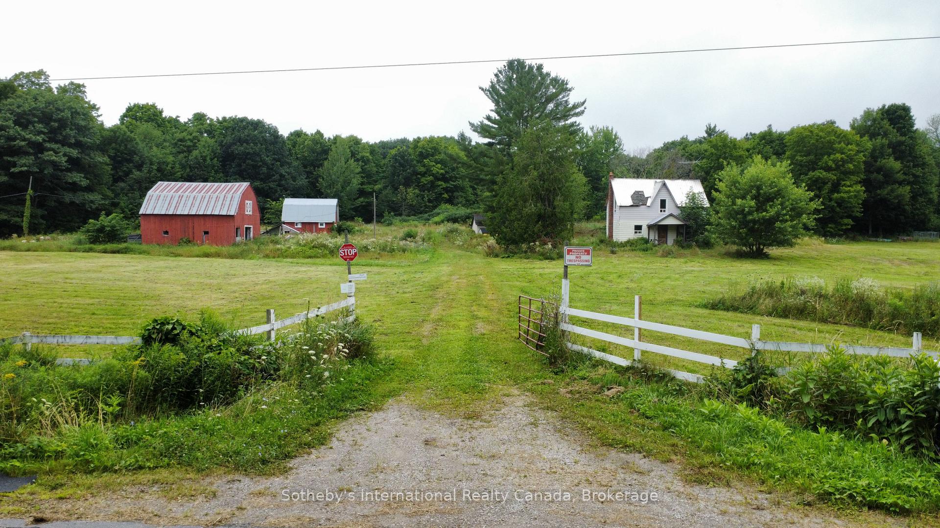 Photo 3 of 1316 Graham Road, Gravenhurst, Morrison — HOMEH