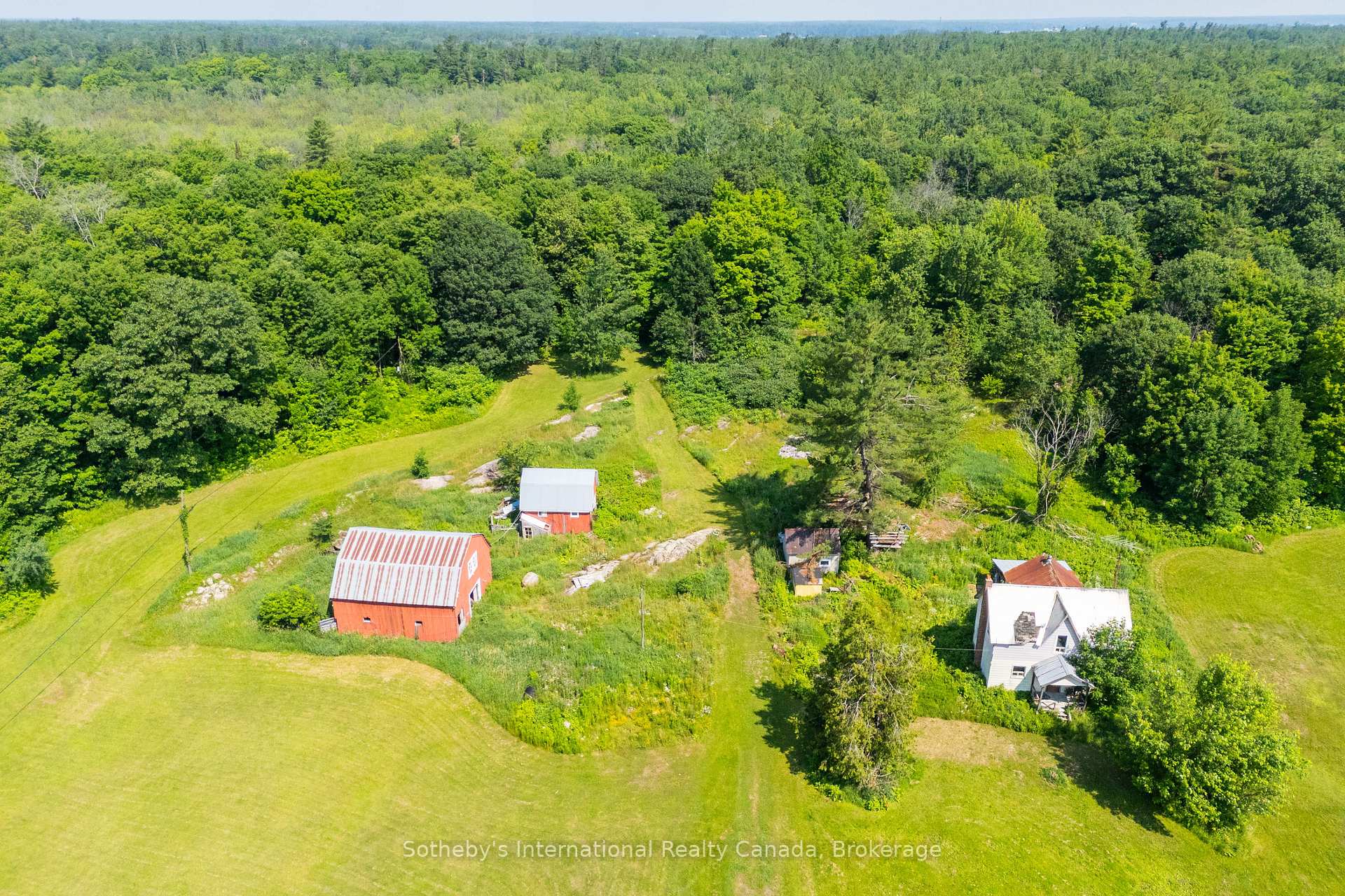 Photo 4 of 1316 Graham Road, Gravenhurst, Morrison — HOMEH