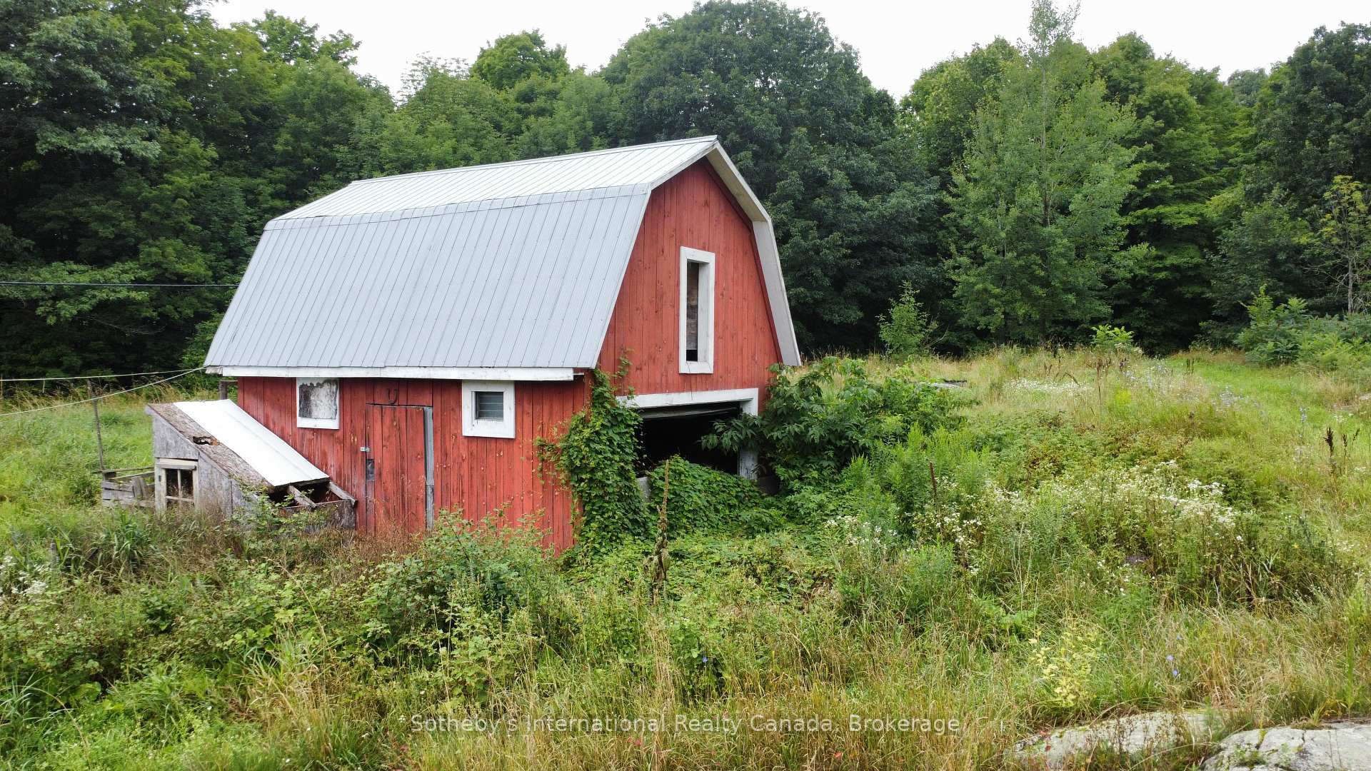 Photo 8 of 1316 Graham Road, Gravenhurst, Morrison — HOMEH