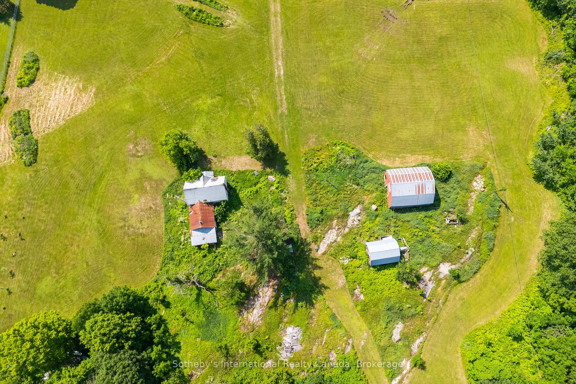 Photo 16 of 1316 Graham Road, Gravenhurst, Morrison — HOMEH