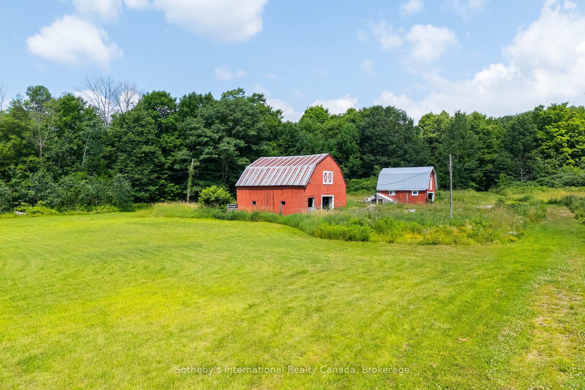 Photo 17 of 1316 Graham Road, Gravenhurst, Morrison — HOMEH
