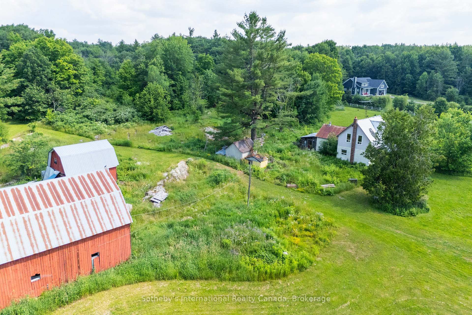 Photo 19 of 1316 Graham Road, Gravenhurst, Morrison — HOMEH