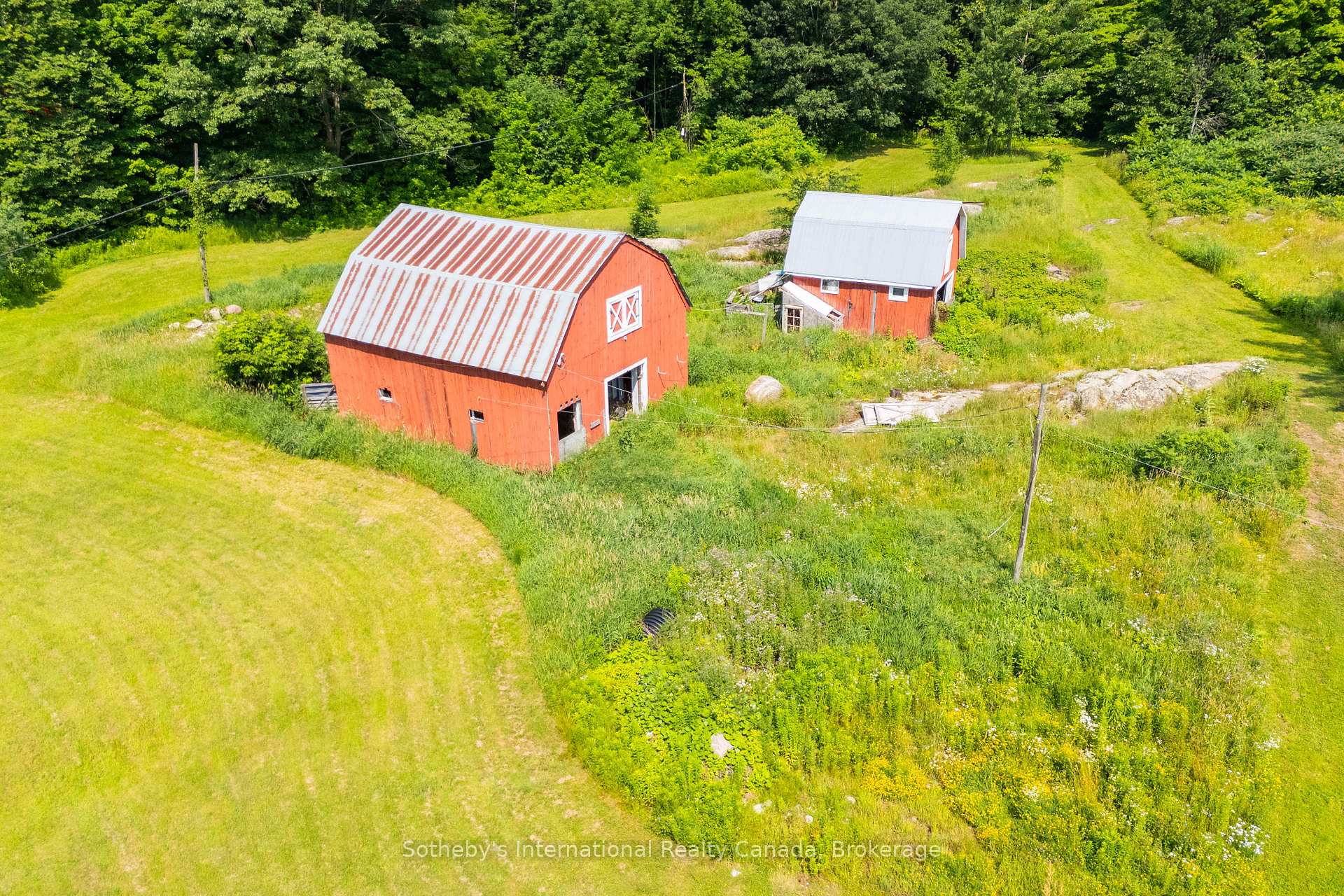 Photo 23 of 1316 Graham Road, Gravenhurst, Morrison — HOMEH