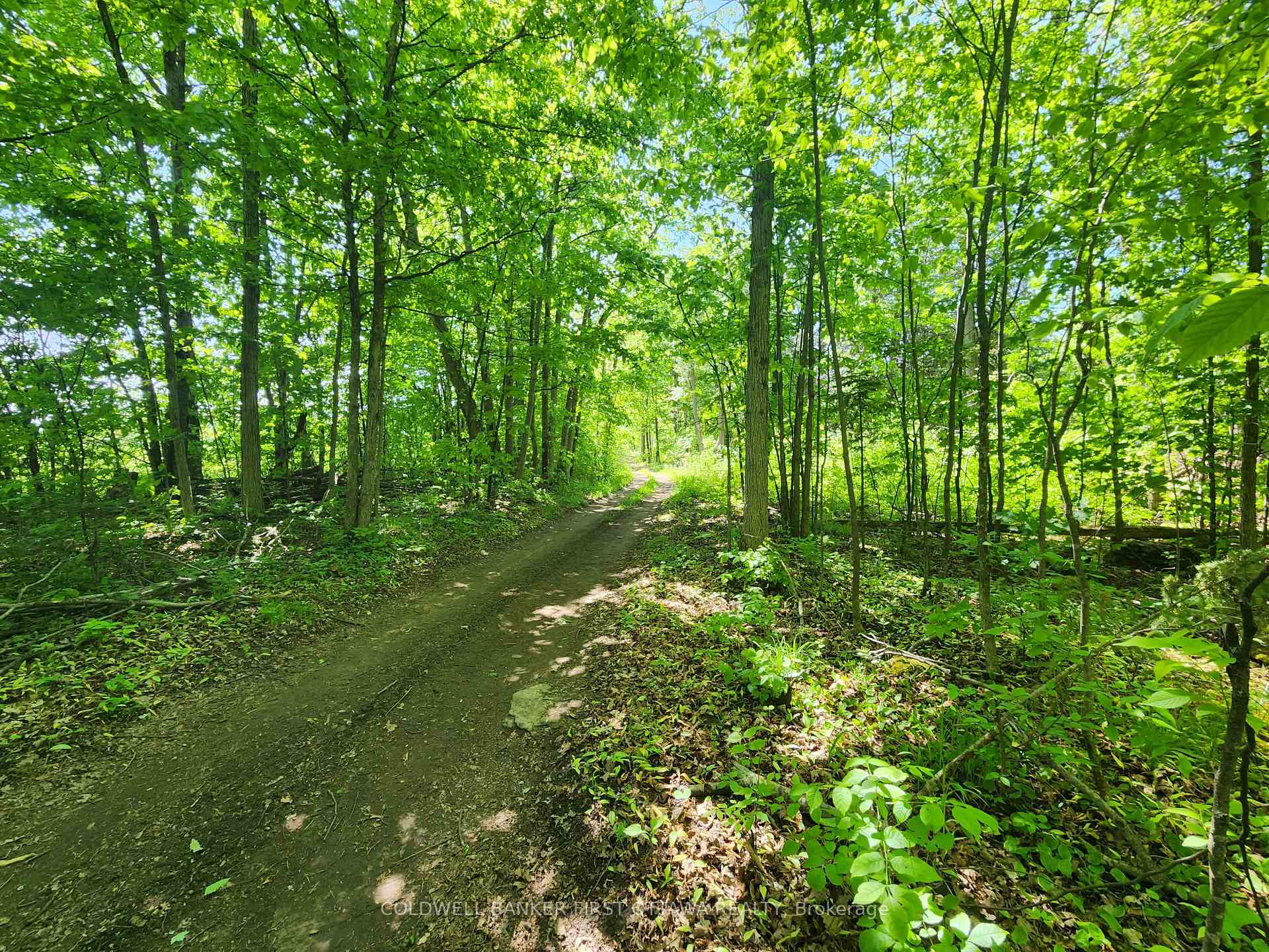 Photo 25 of Lot 4-5 McLellan Road, Beckwith, Beckwith Twp — HOMEH