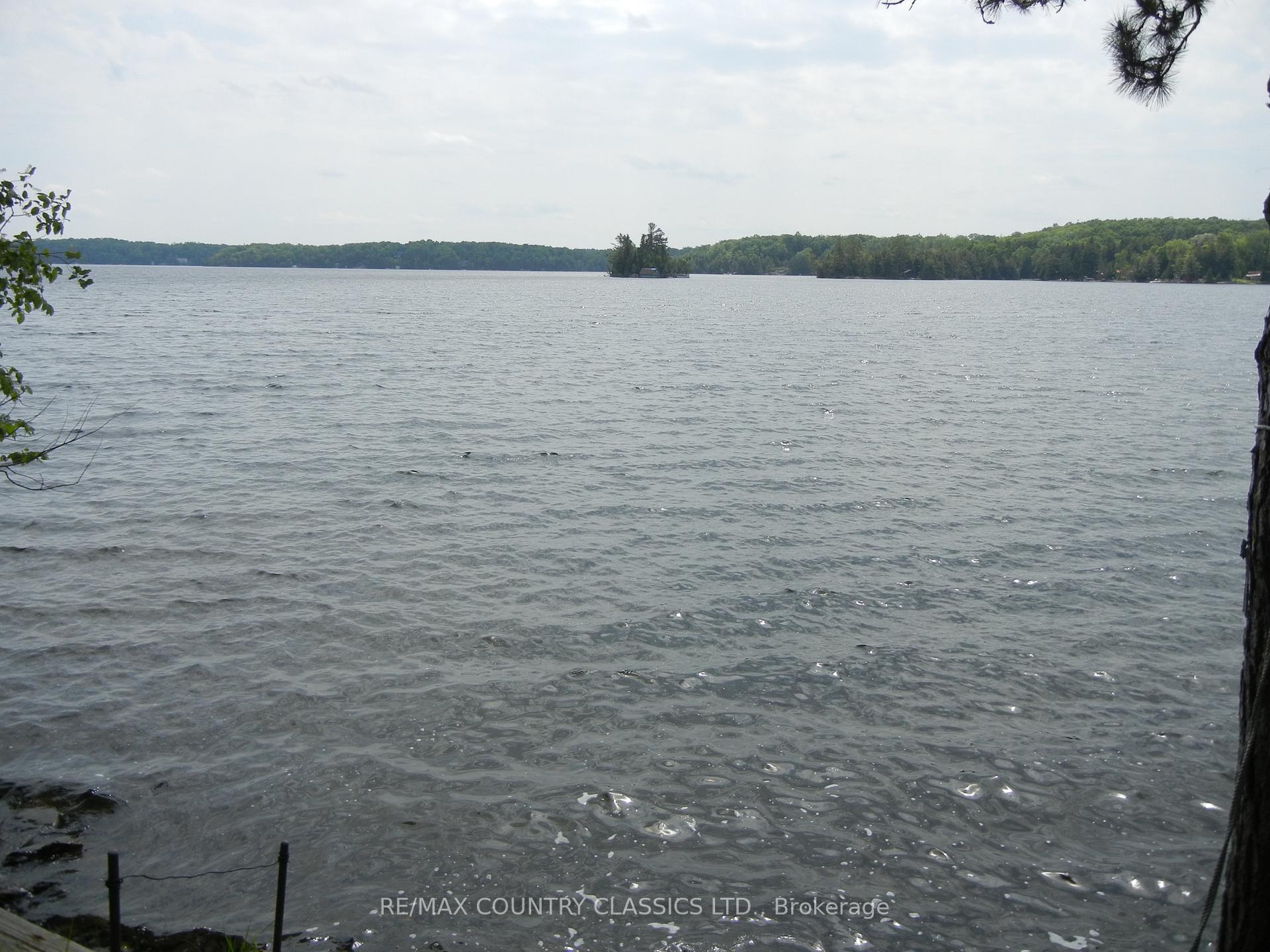 Photo 7 of 316 Trotter-Oitment Road, North Kawartha — HOMEH