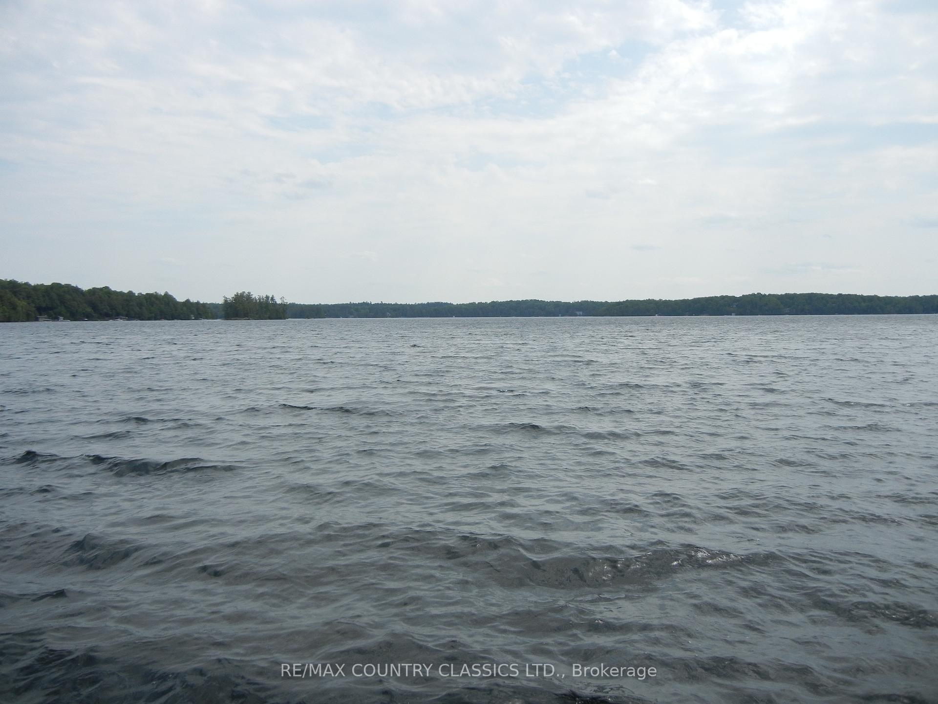 Photo 8 of 316 Trotter-Oitment Road, North Kawartha — HOMEH