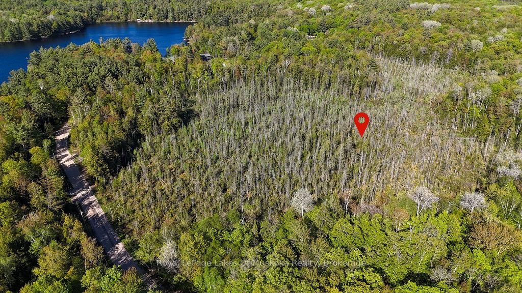 Photo of 1356 Dickie Lake Road