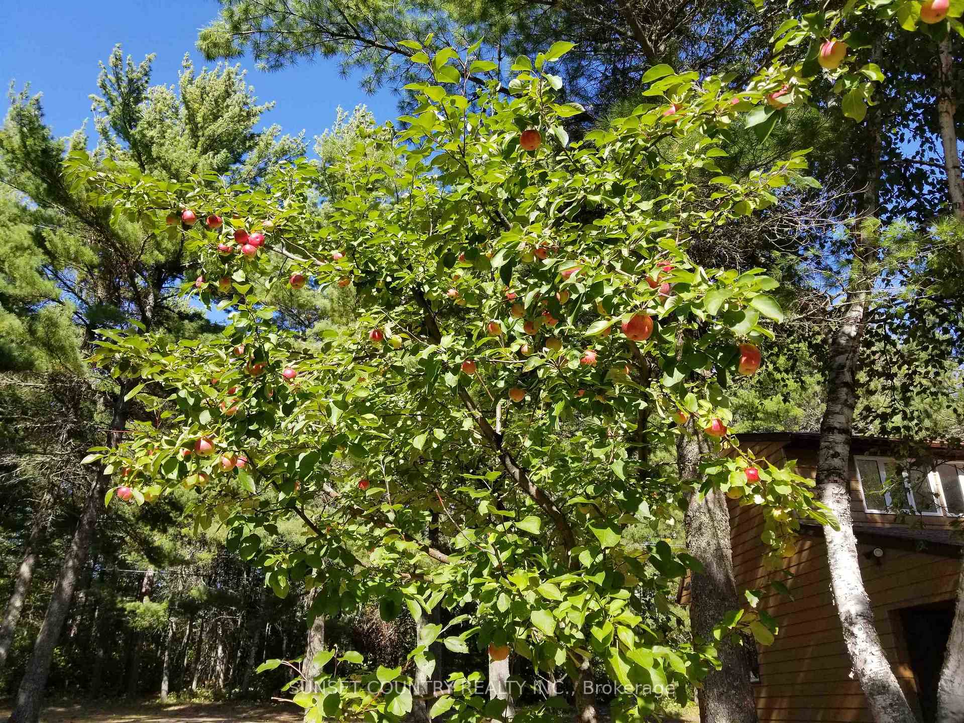 Photo 40 of 76 Ojibway Drive, Machin — HOMEH