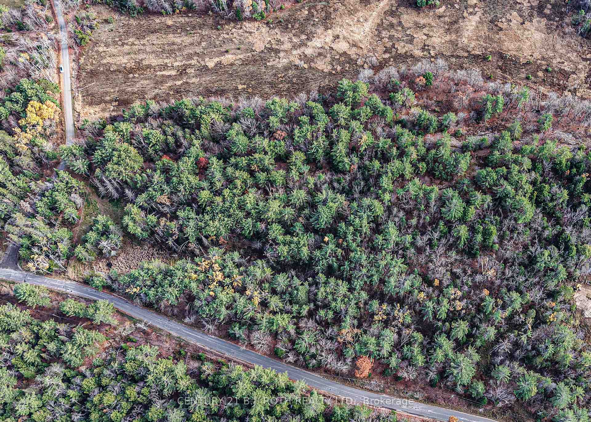 Photo 7 of 1036 Hopkins Road, Gravenhurst, Ryde — HOMEH