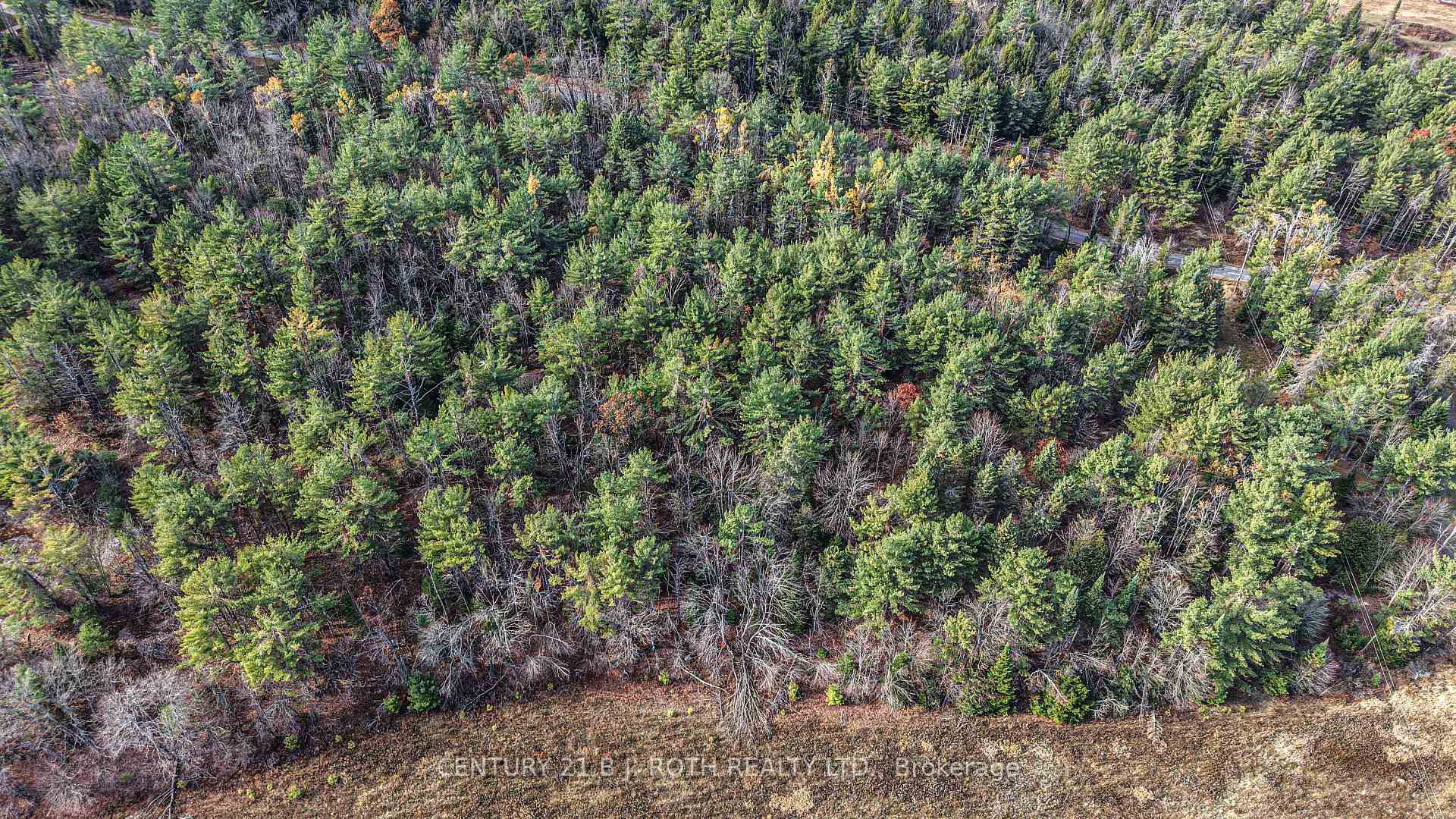 Photo 9 of 1036 Hopkins Road, Gravenhurst, Ryde — HOMEH