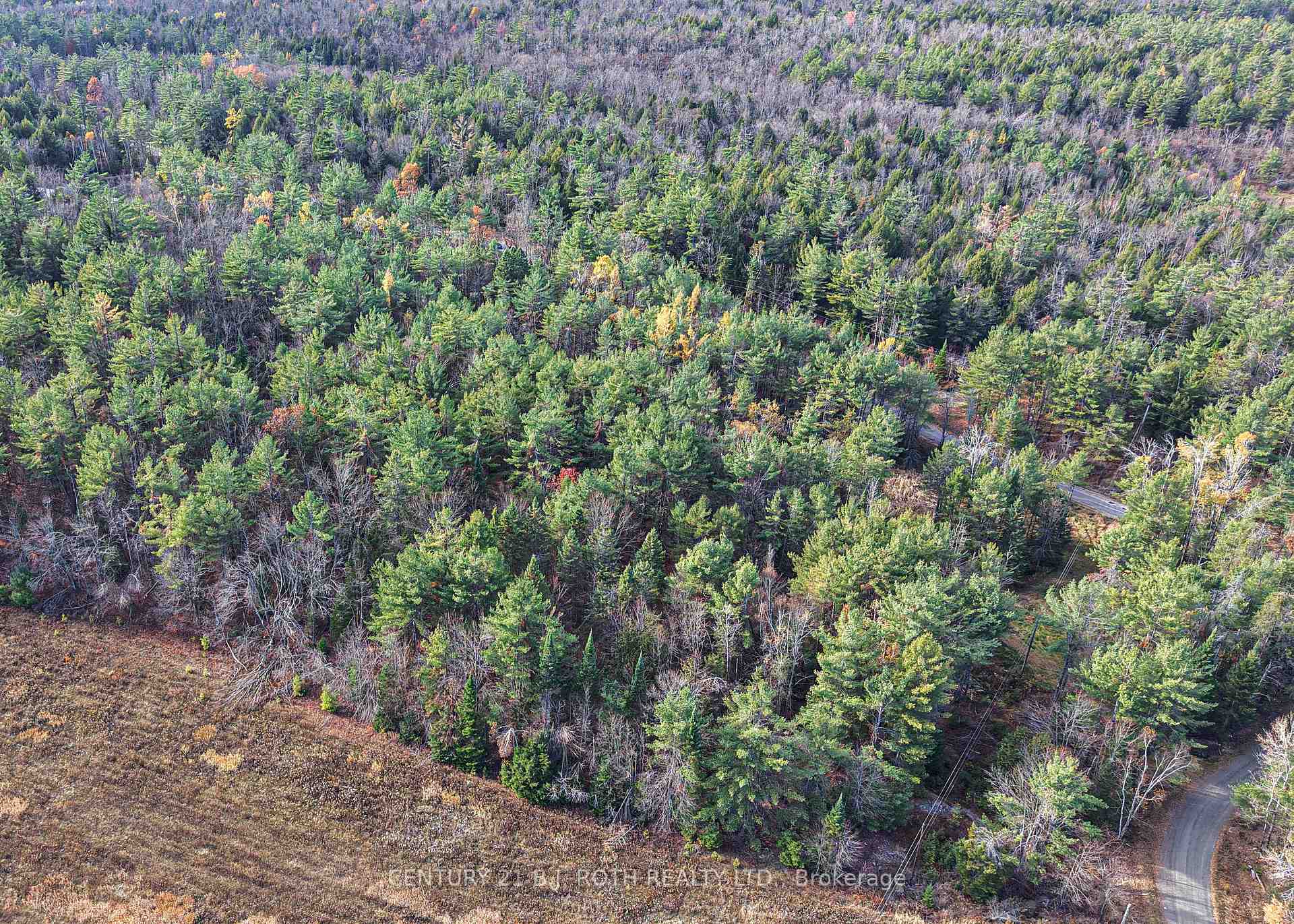 Photo 10 of 1036 Hopkins Road, Gravenhurst, Ryde — HOMEH