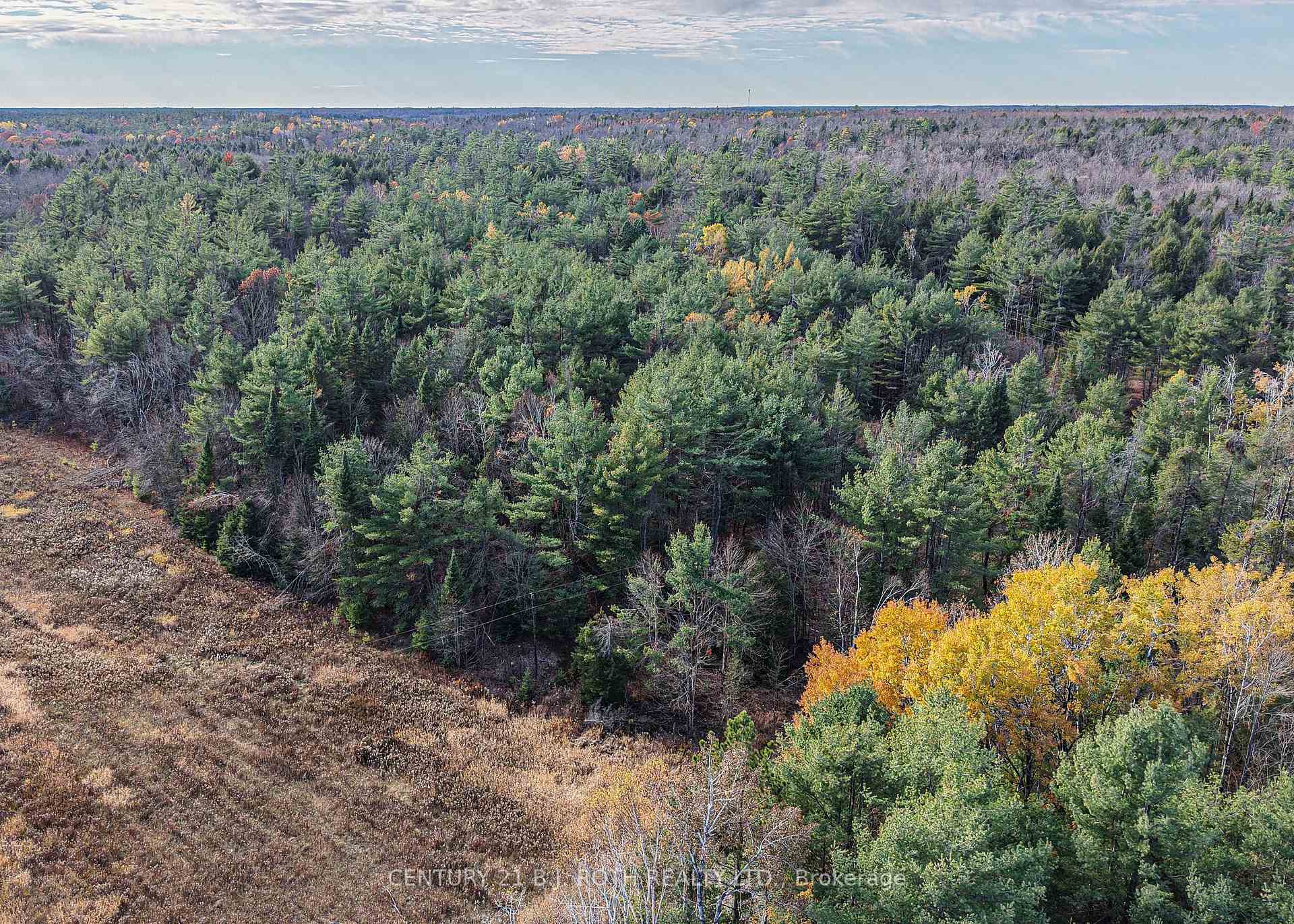 Photo 11 of 1036 Hopkins Road, Gravenhurst, Ryde — HOMEH