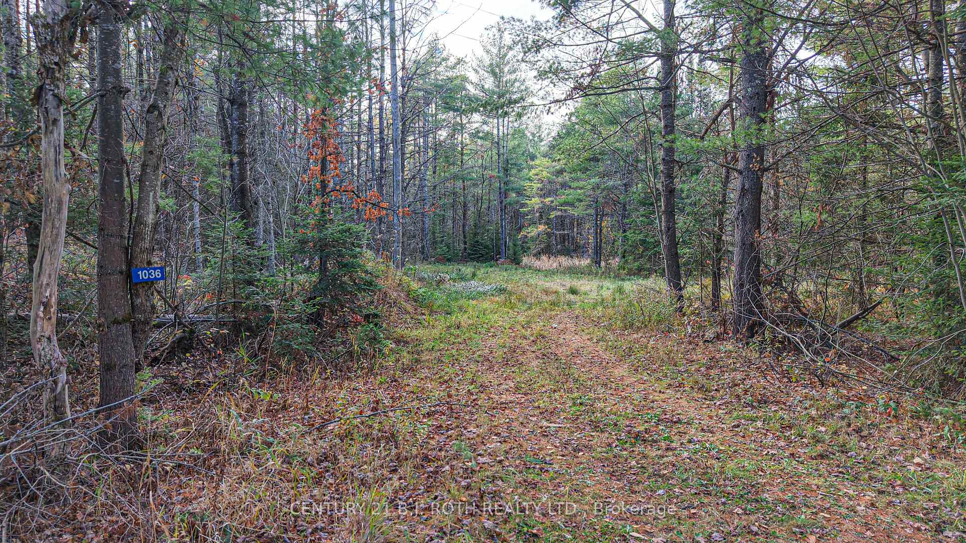 Photo 12 of 1036 Hopkins Road, Gravenhurst, Ryde — HOMEH