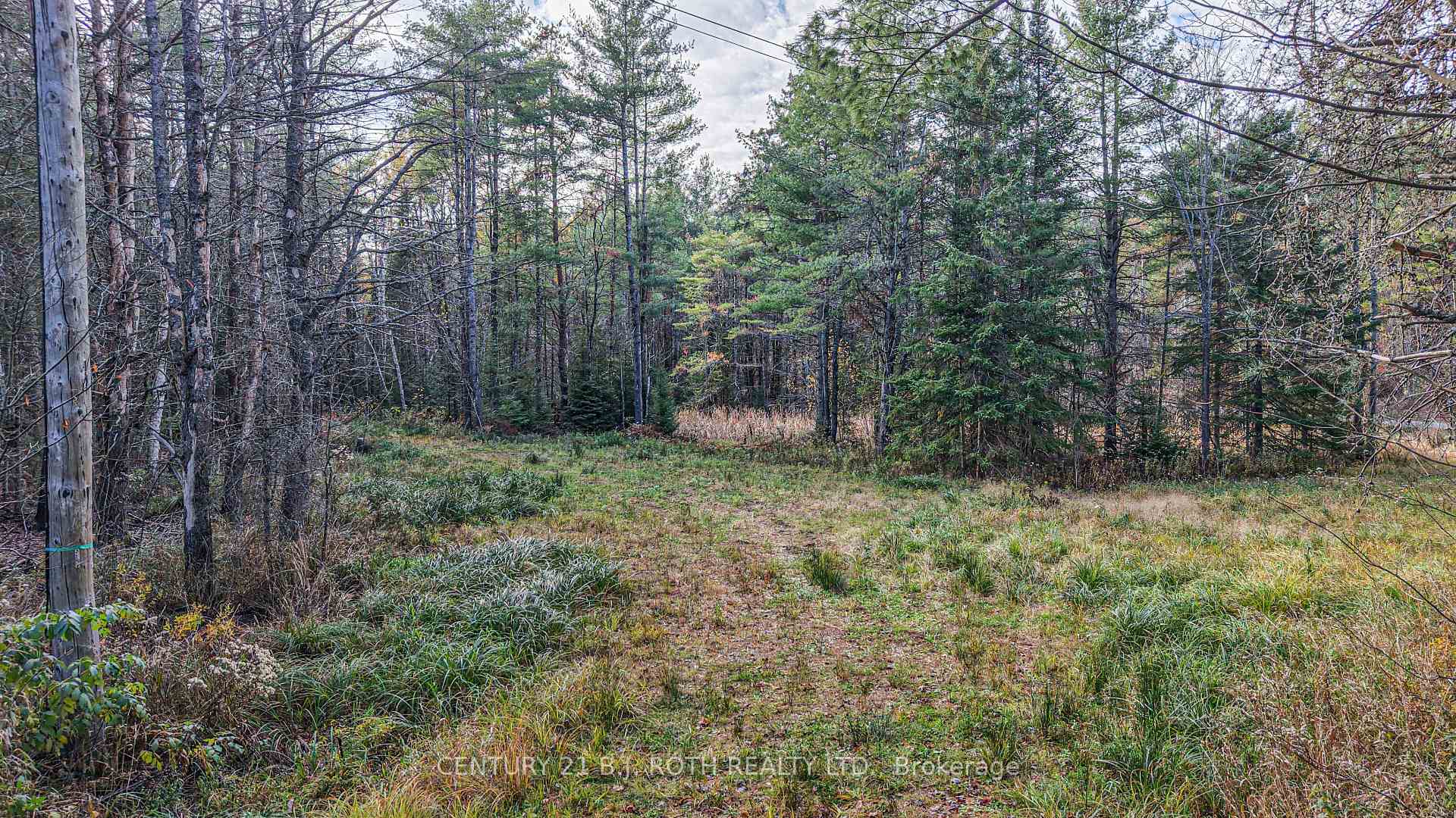 Photo 13 of 1036 Hopkins Road, Gravenhurst, Ryde — HOMEH