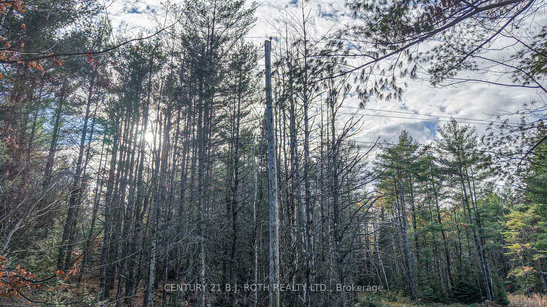 Photo 14 of 1036 Hopkins Road, Gravenhurst, Ryde — HOMEH