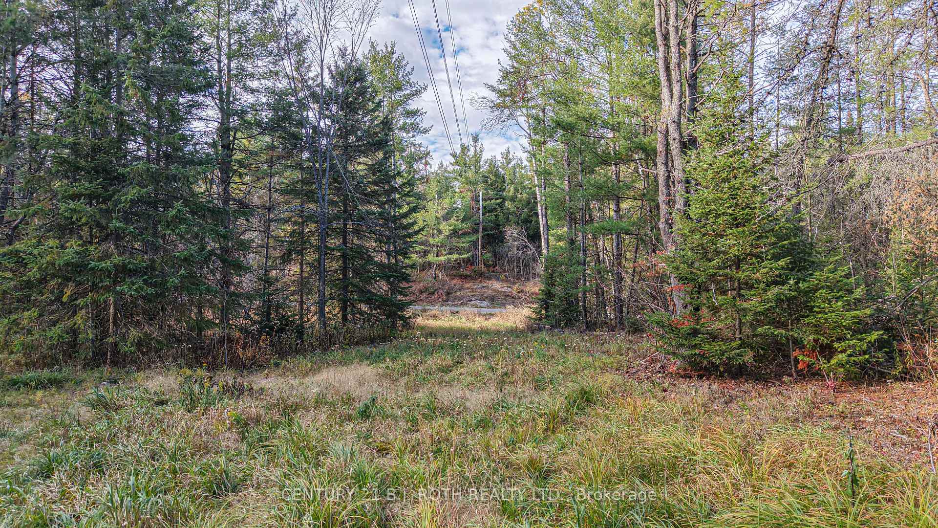 Photo 15 of 1036 Hopkins Road, Gravenhurst, Ryde — HOMEH