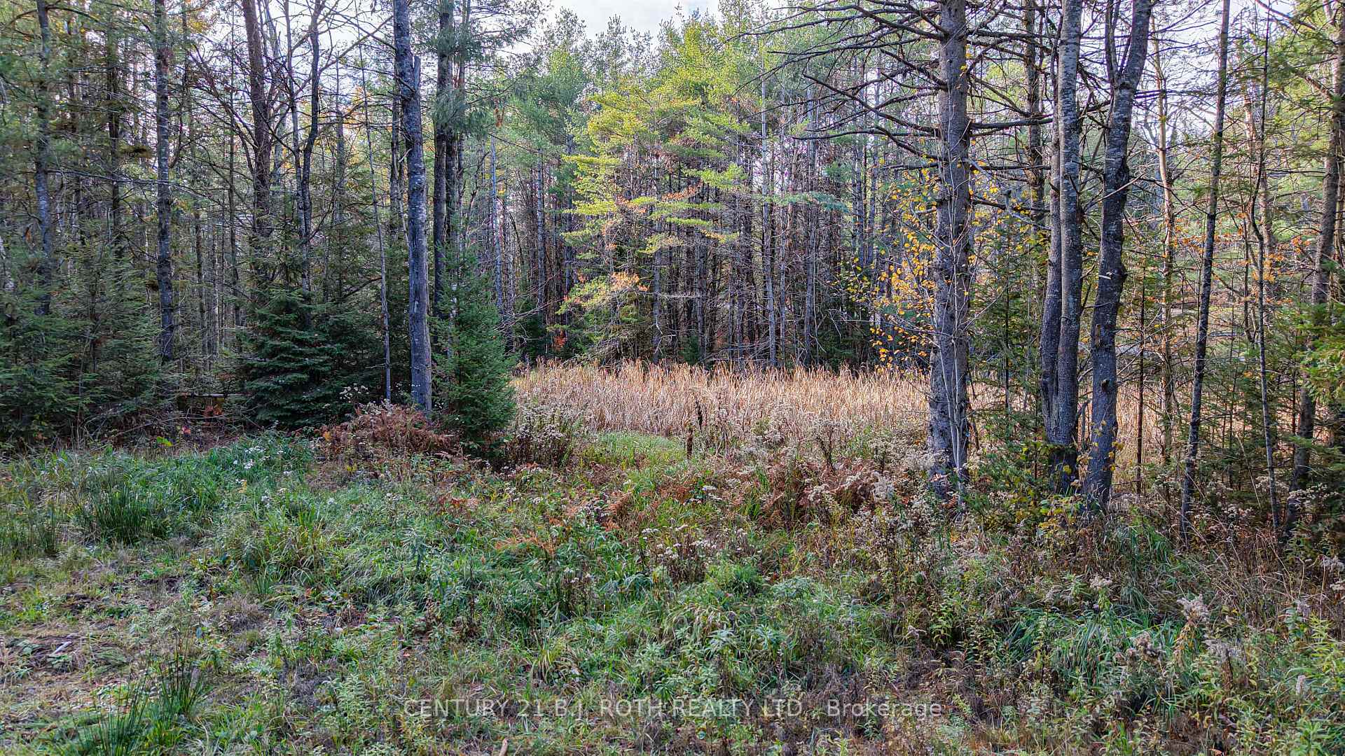 Photo 16 of 1036 Hopkins Road, Gravenhurst, Ryde — HOMEH