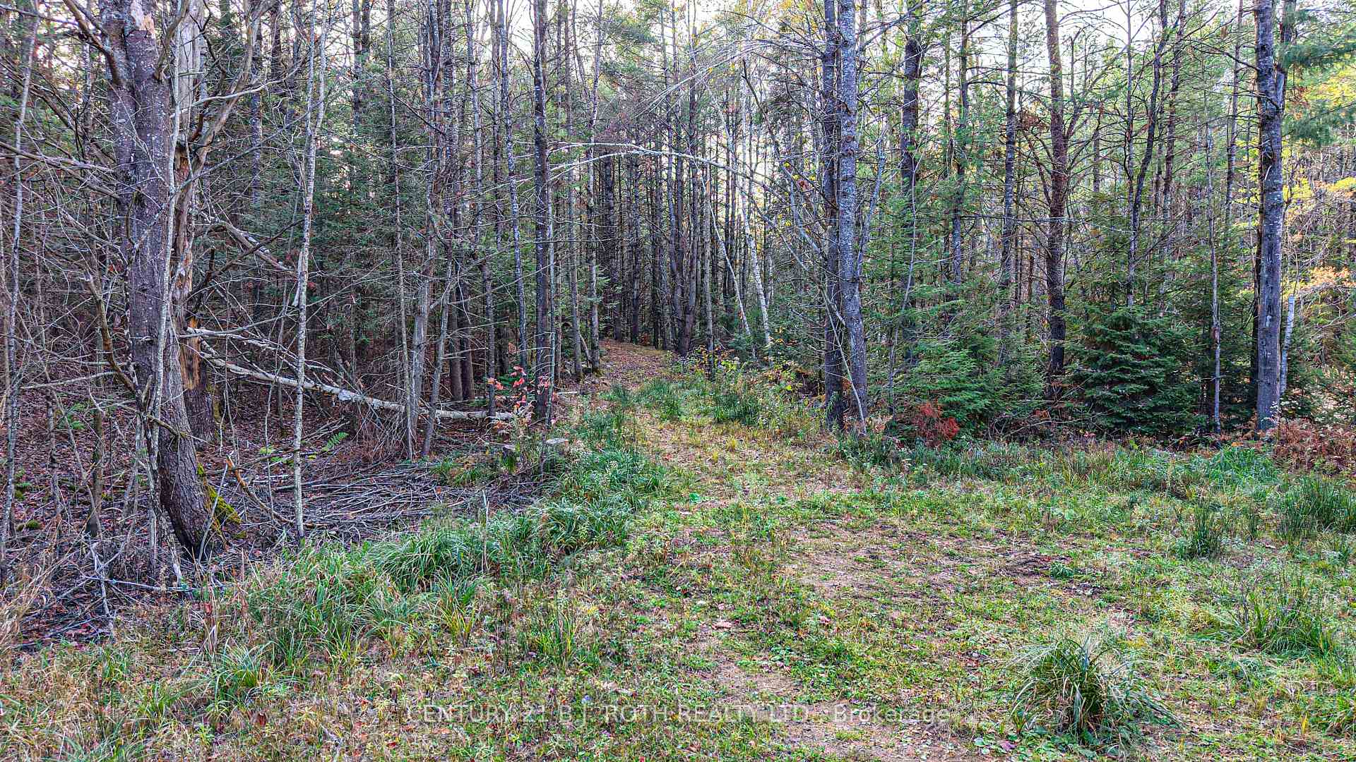 Photo 17 of 1036 Hopkins Road, Gravenhurst, Ryde — HOMEH