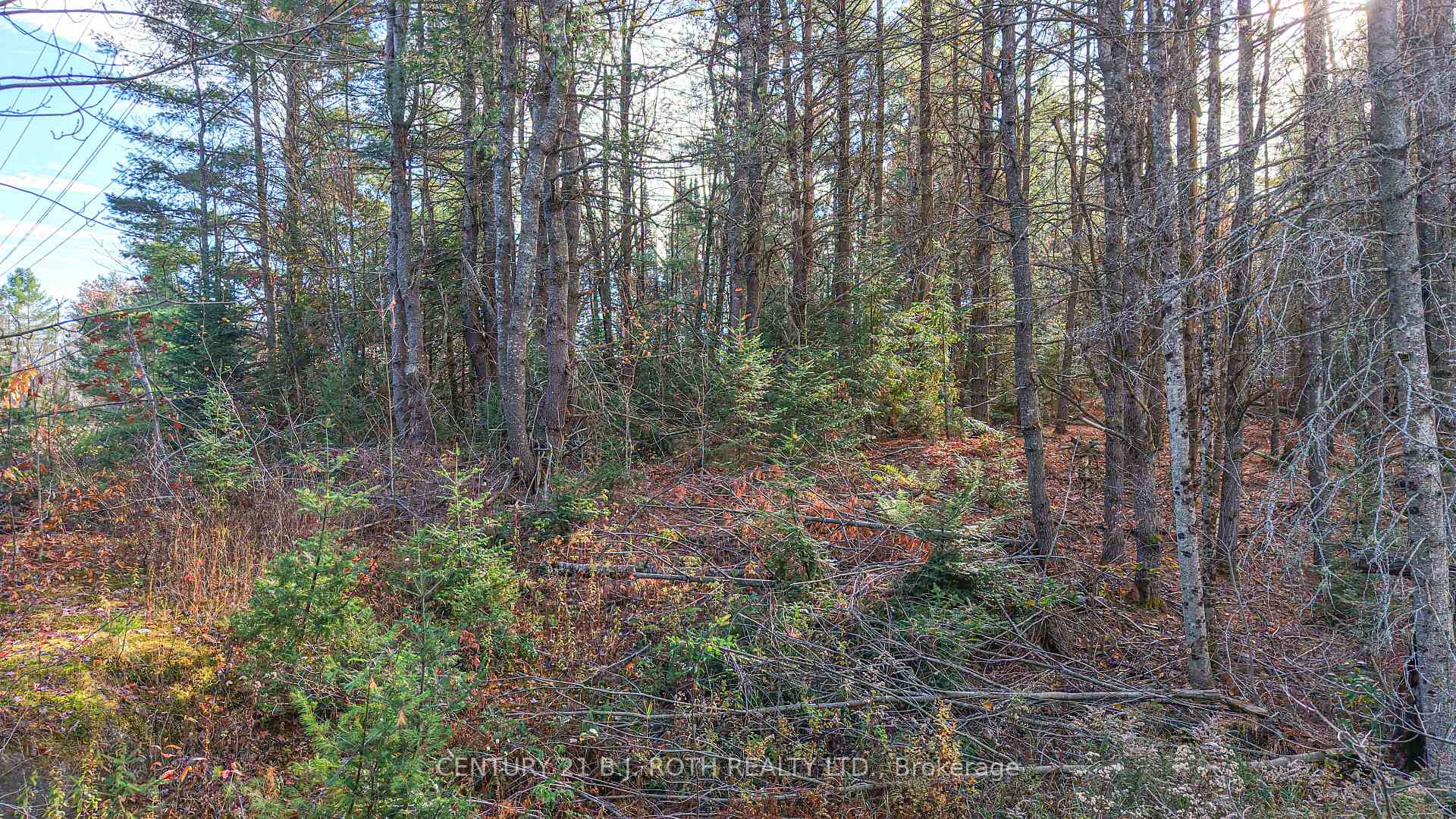Photo 18 of 1036 Hopkins Road, Gravenhurst, Ryde — HOMEH