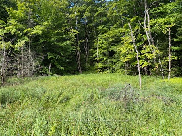 Photo of 1788 Old Muskoka Road