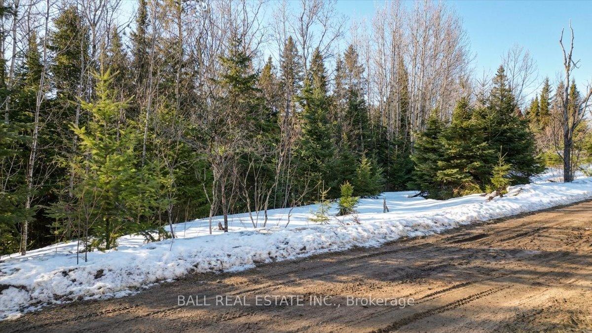 Photo 7 of Pt Lt 9-10 Conc 7 Egan Court, Bancroft, Dungannon Ward — HOMEH