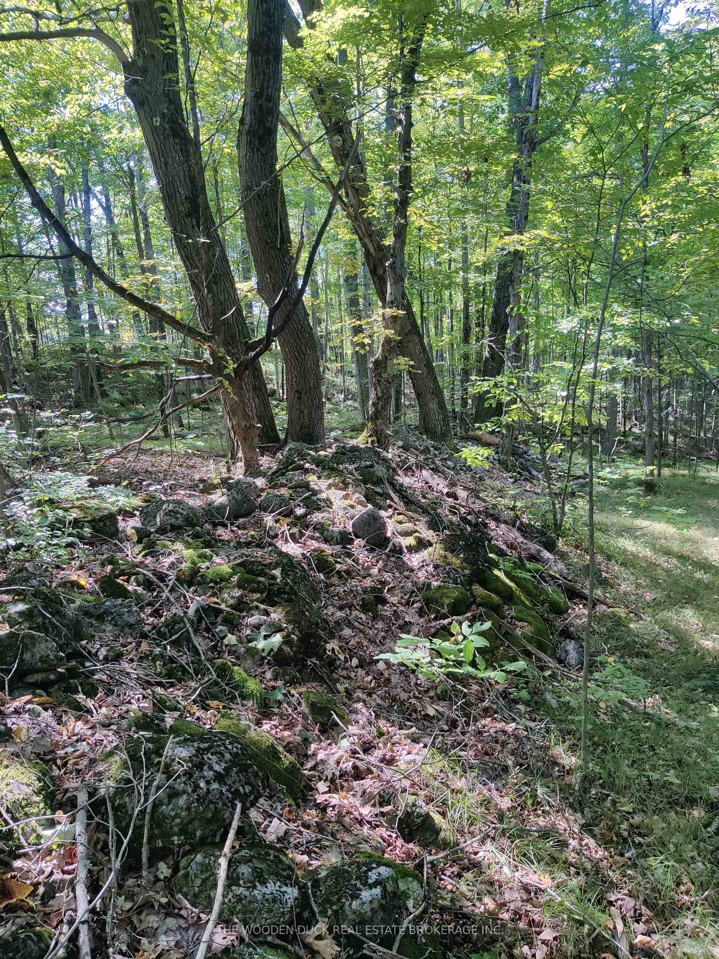 Photo of 0West Road Allowance