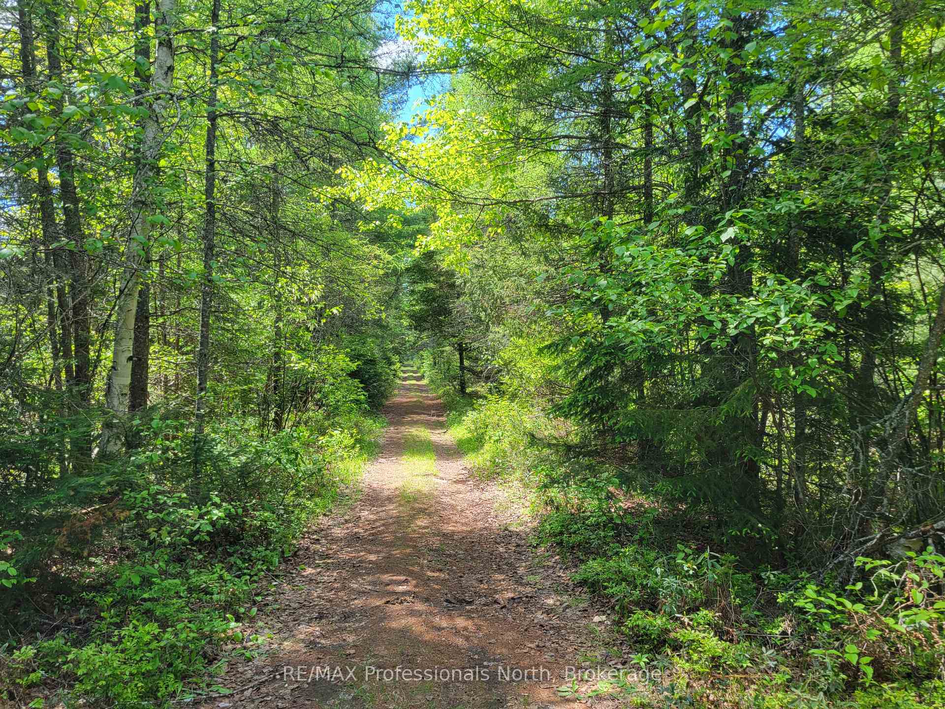 Photo 4 of Dufferin Street, South River — HOMEH