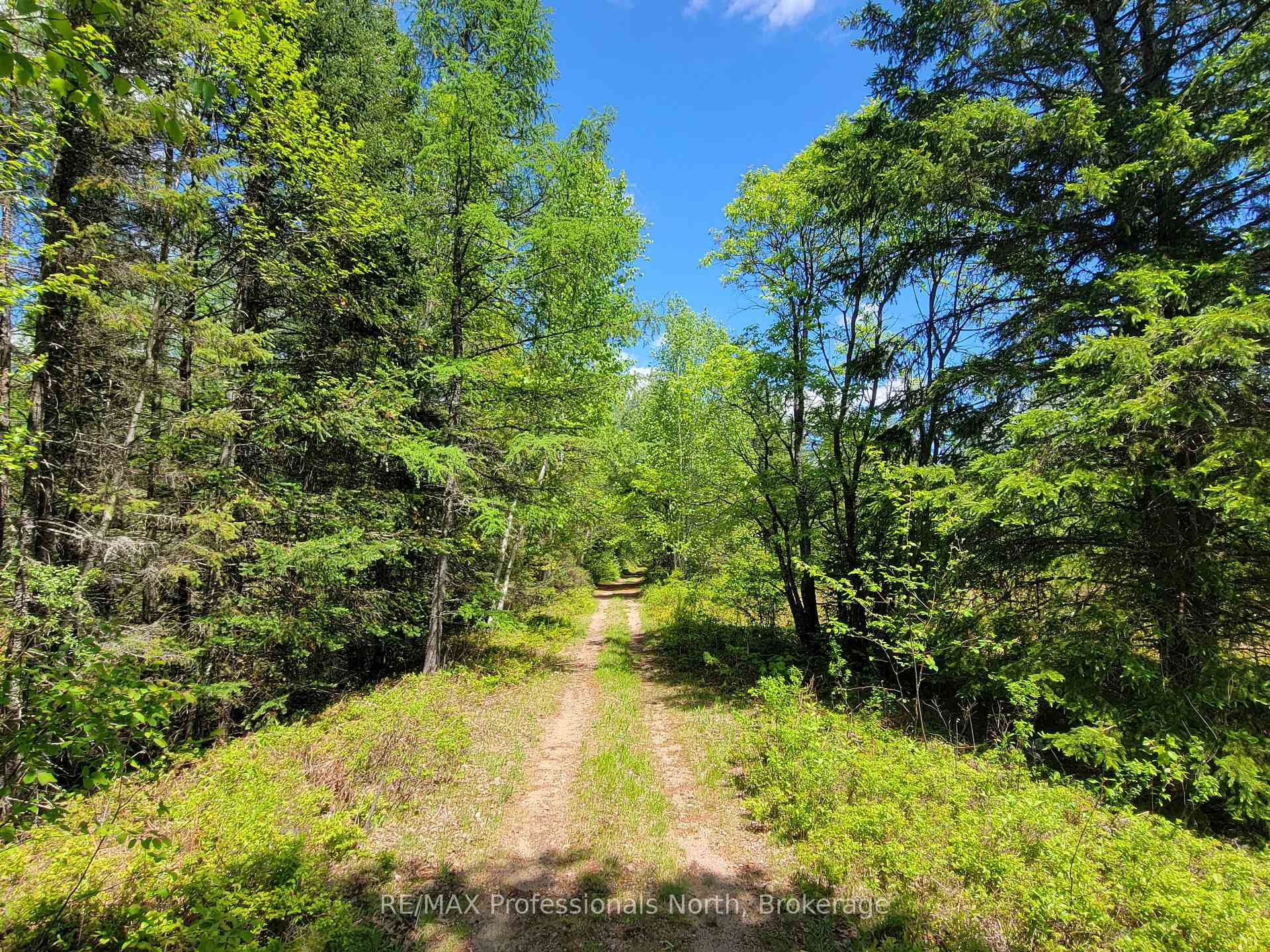 Photo 9 of Dufferin Street, South River — HOMEH