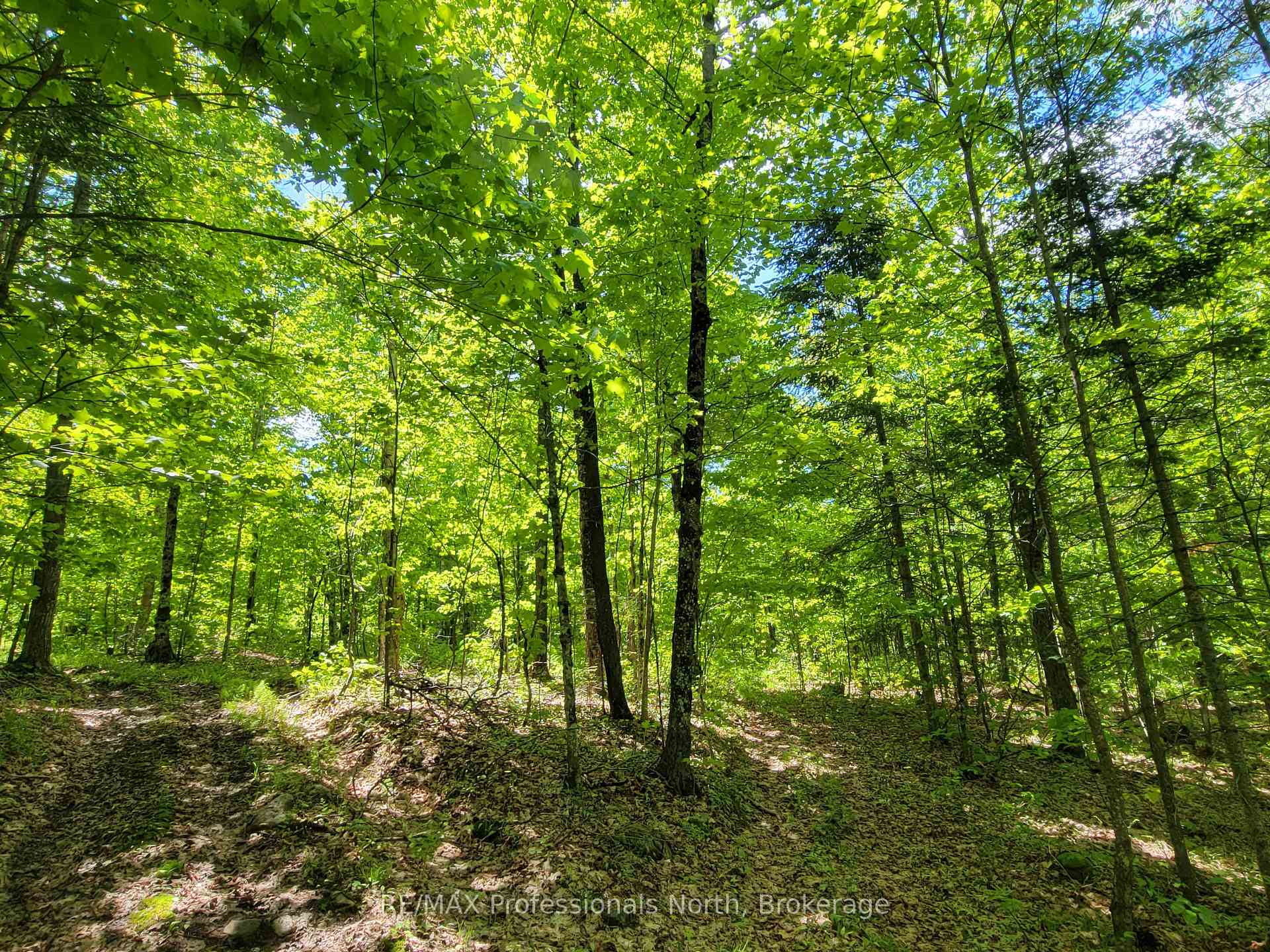 Photo 10 of Dufferin Street, South River — HOMEH