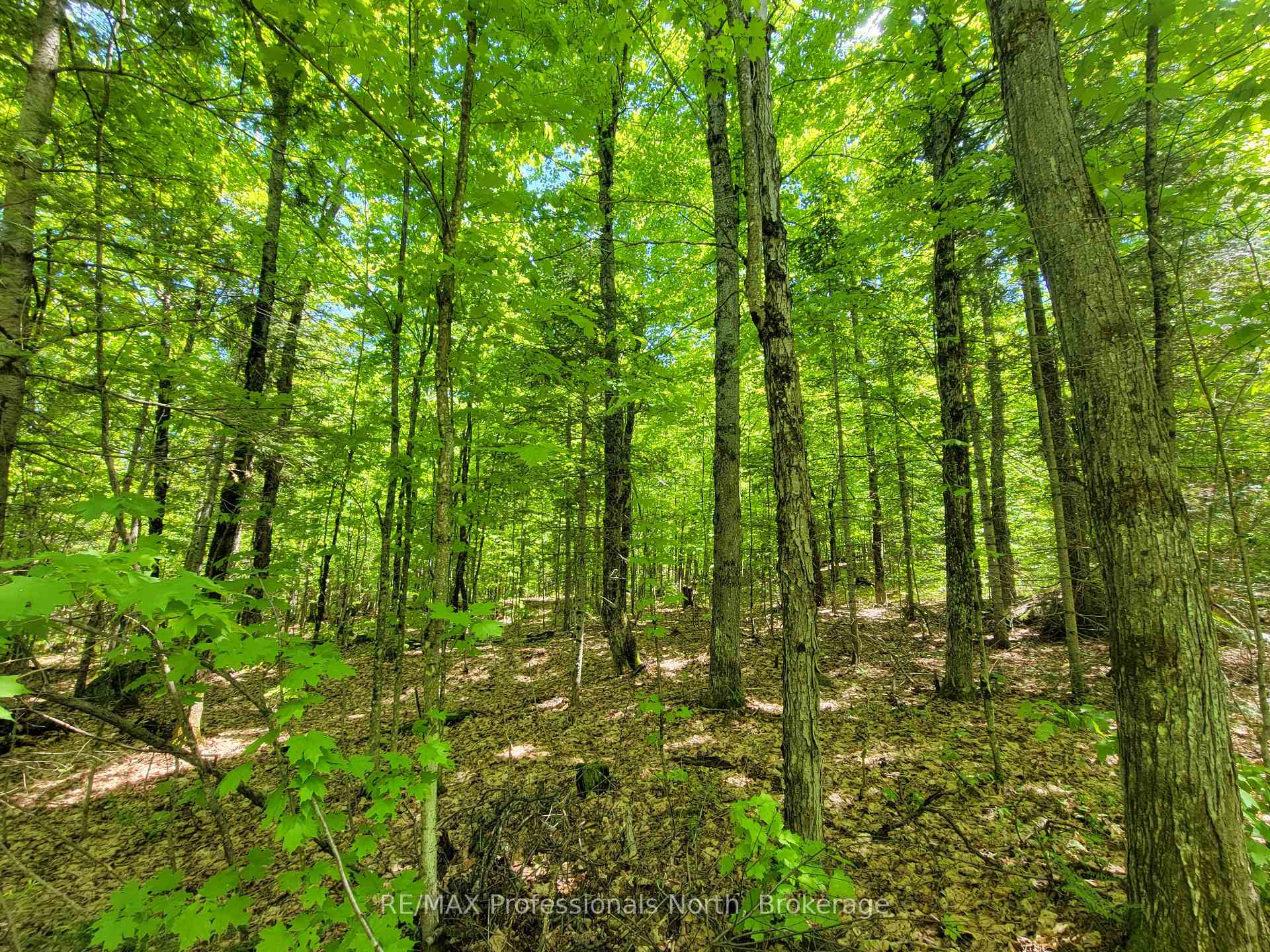 Photo 12 of Dufferin Street, South River — HOMEH
