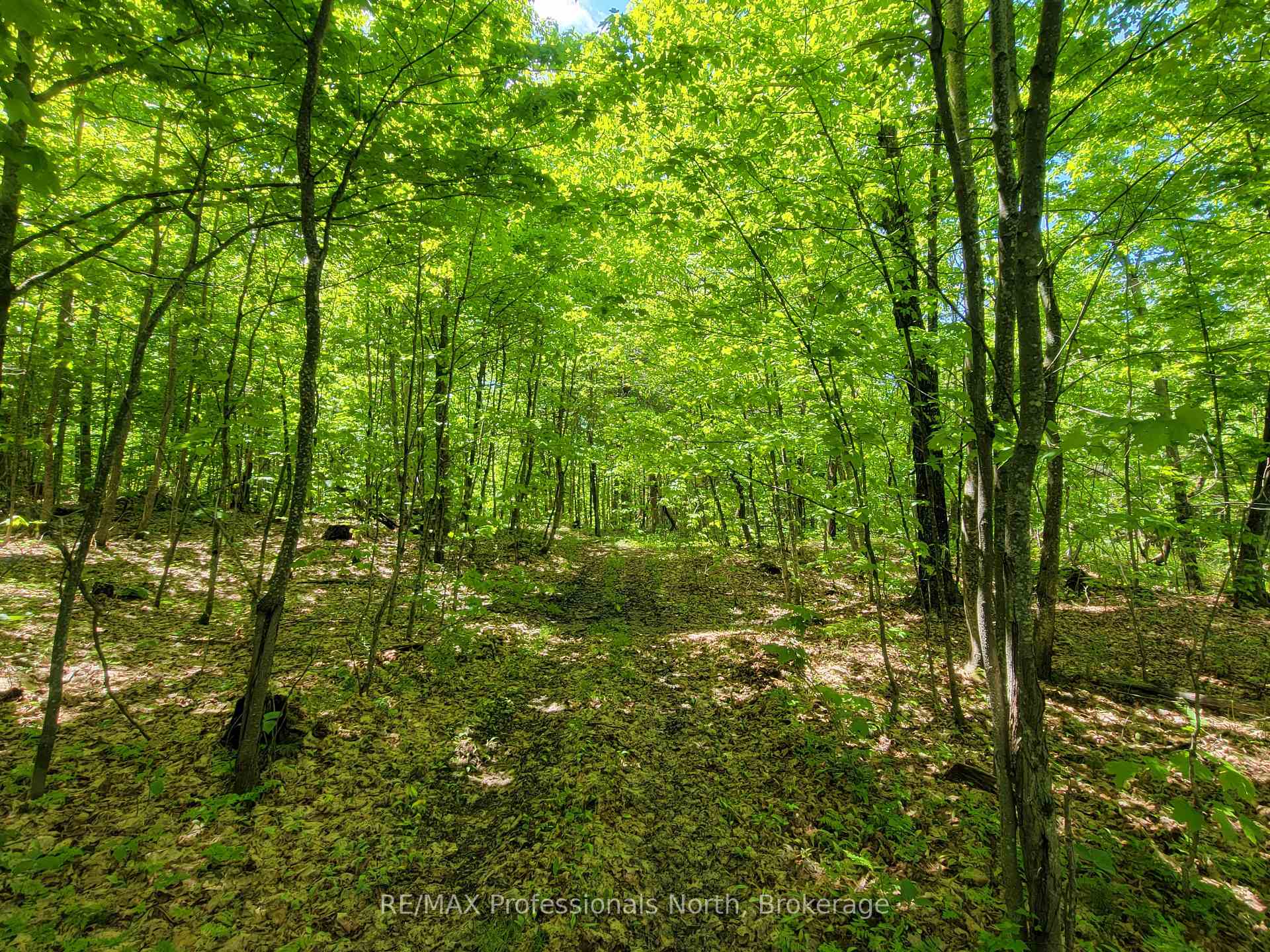 Photo 13 of Dufferin Street, South River — HOMEH