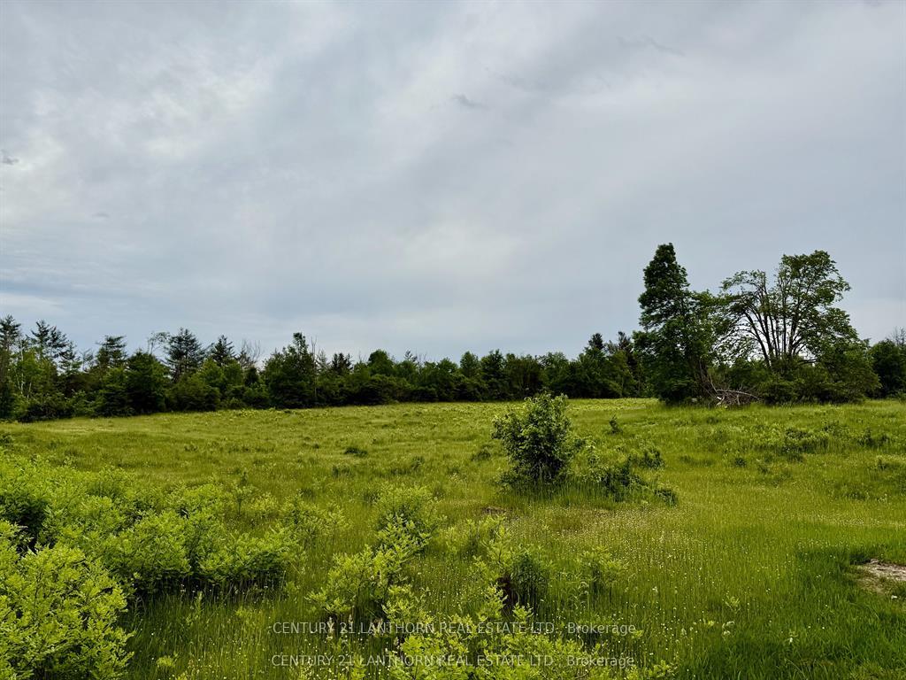Photo 2 of 00 Cooper Road, Madoc — HOMEH