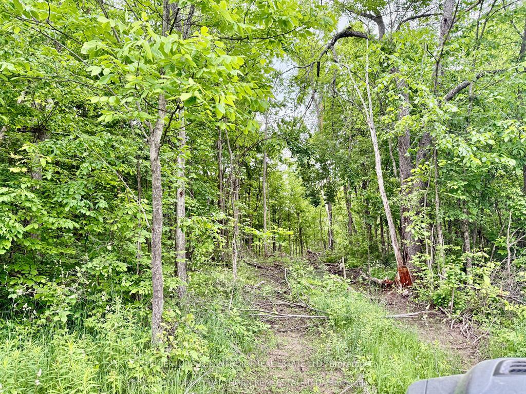 Photo 4 of 00 Cooper Road, Madoc — HOMEH